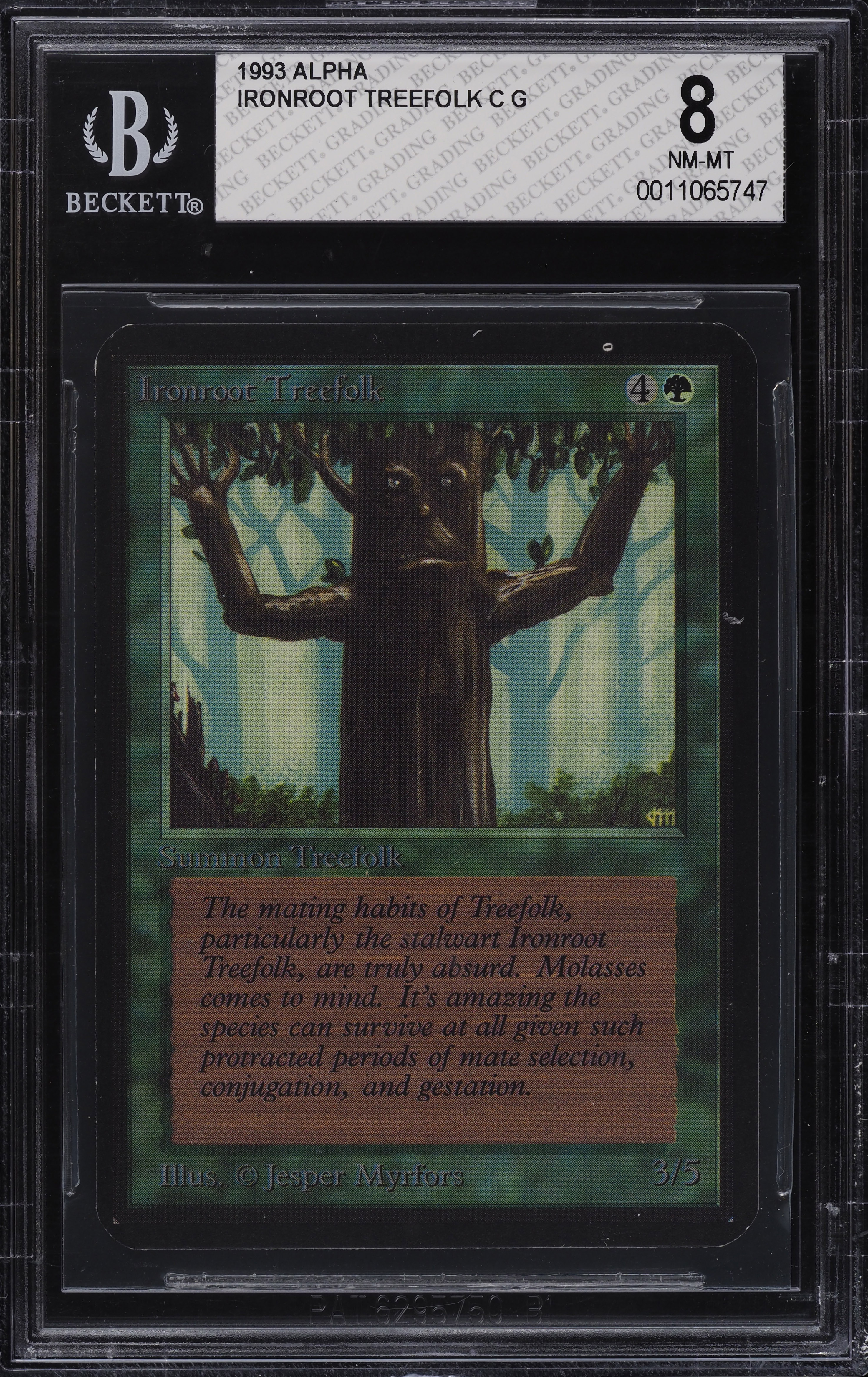 1993 Magic The Gathering MTG Alpha Ironroot Treefolk C G BGS 8 NM