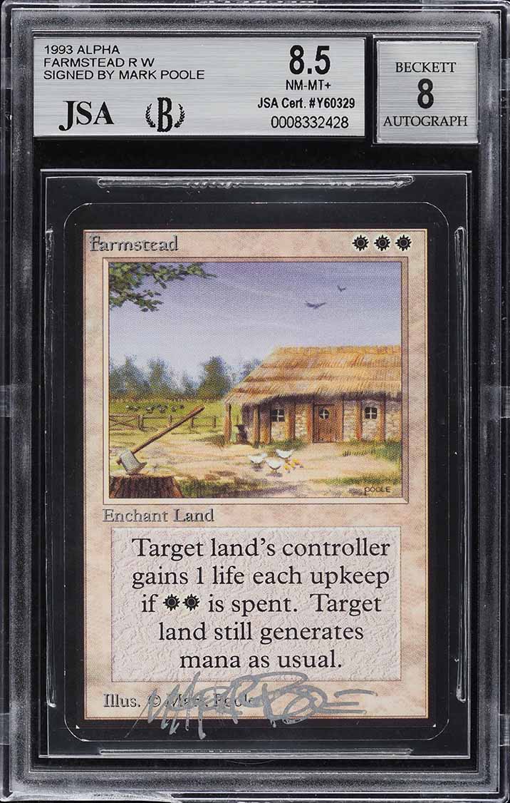 1993 Magic The Gathering MTG Arabian Nights Army Of Allah (Dark 1