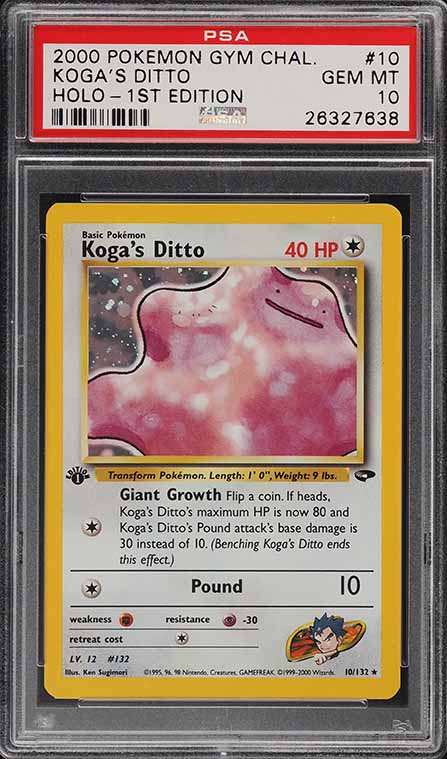 Koga's Ditto