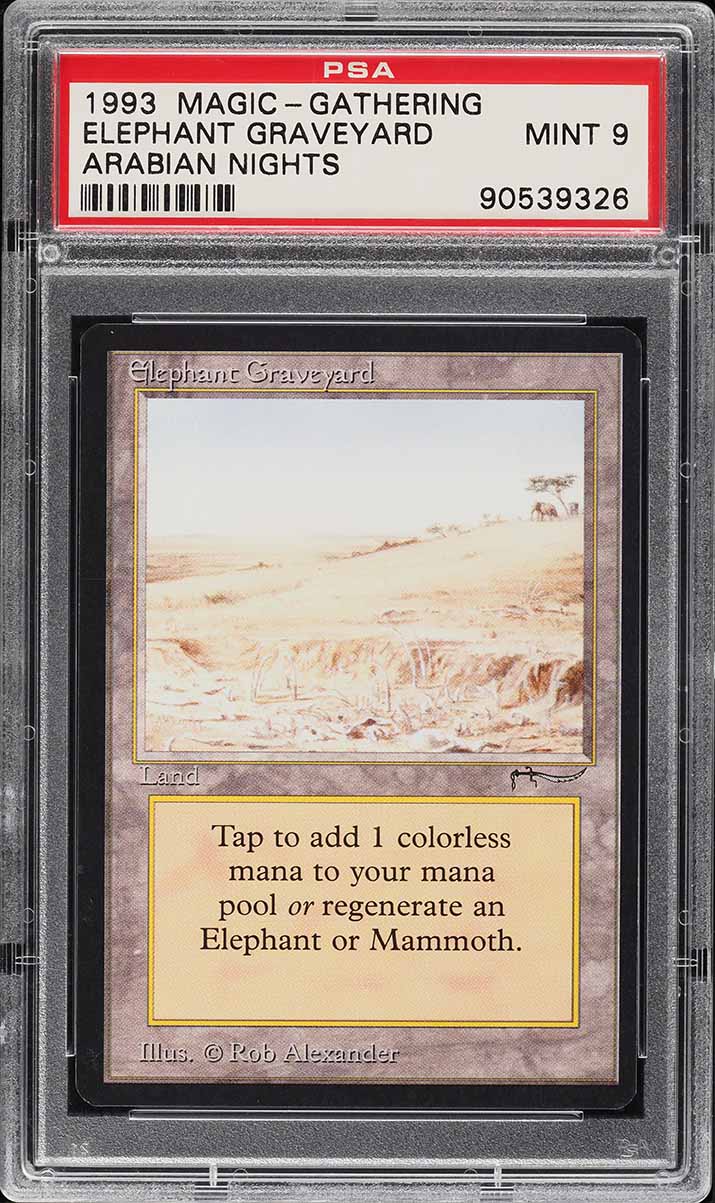 1993 Magic The Gathering MTG Arabian Nights Elephant Graveyard PSA 9 MINT