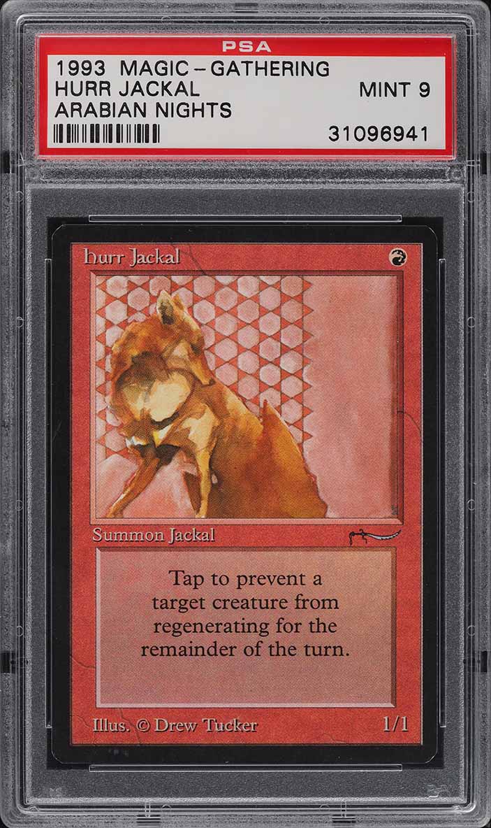 1993 Magic The Gathering MTG Arabian Nights Hurr Jackal PSA 9 MINT