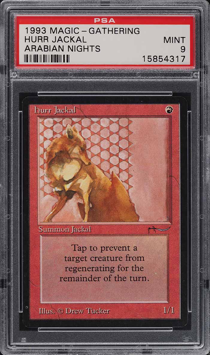 mtg jackal cards Familiar TrampleWhenever you cast a creature spell with mana value equal to Jackals power Jackal Pup (foil)