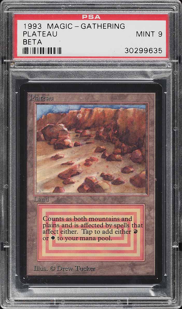 1993 Magic The Gathering MTG Beta Dual Land Plateau PSA 9 MINT