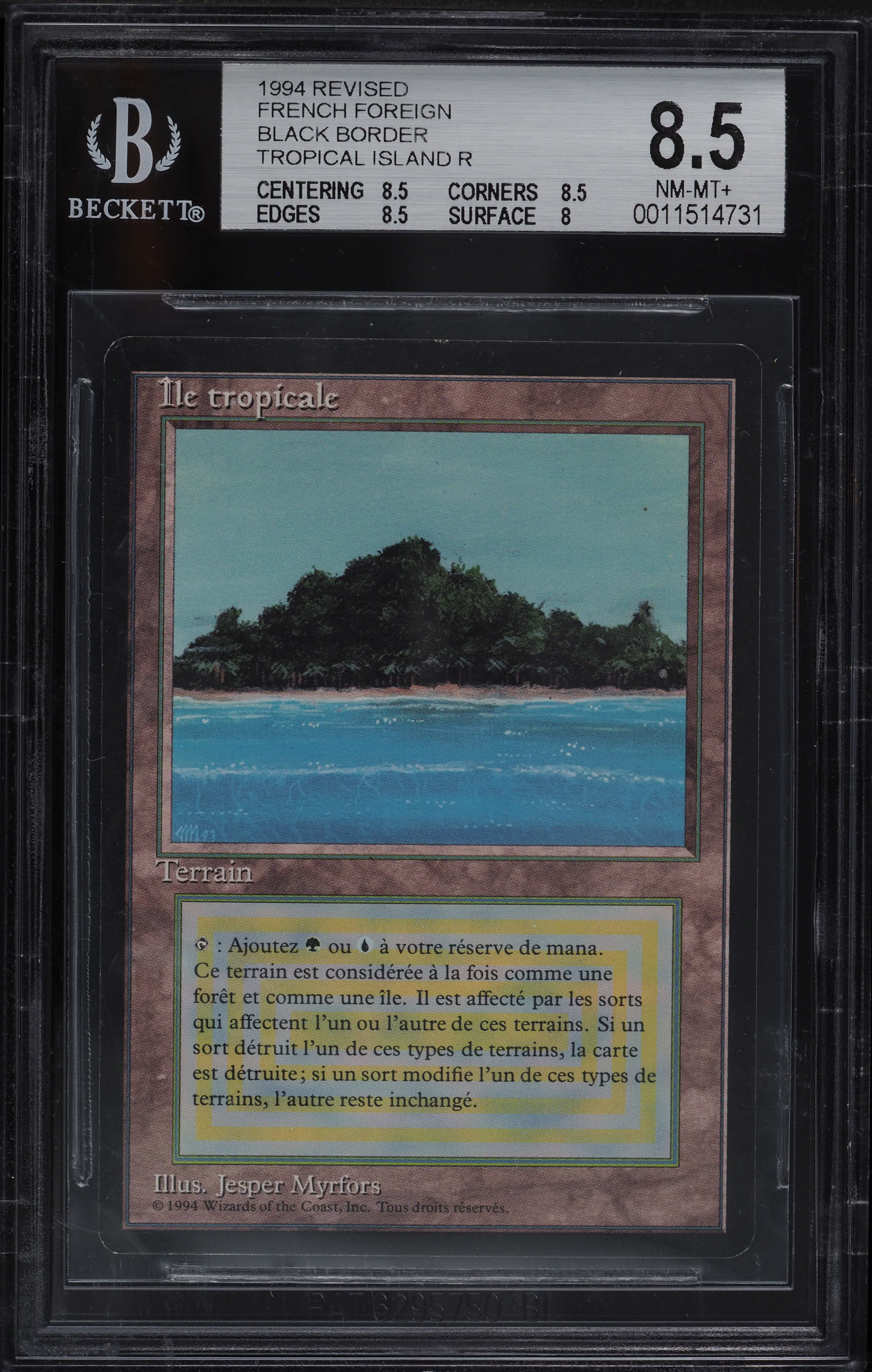 1994 Magic The Gathering MTG Revised FBB French Dual Tropical