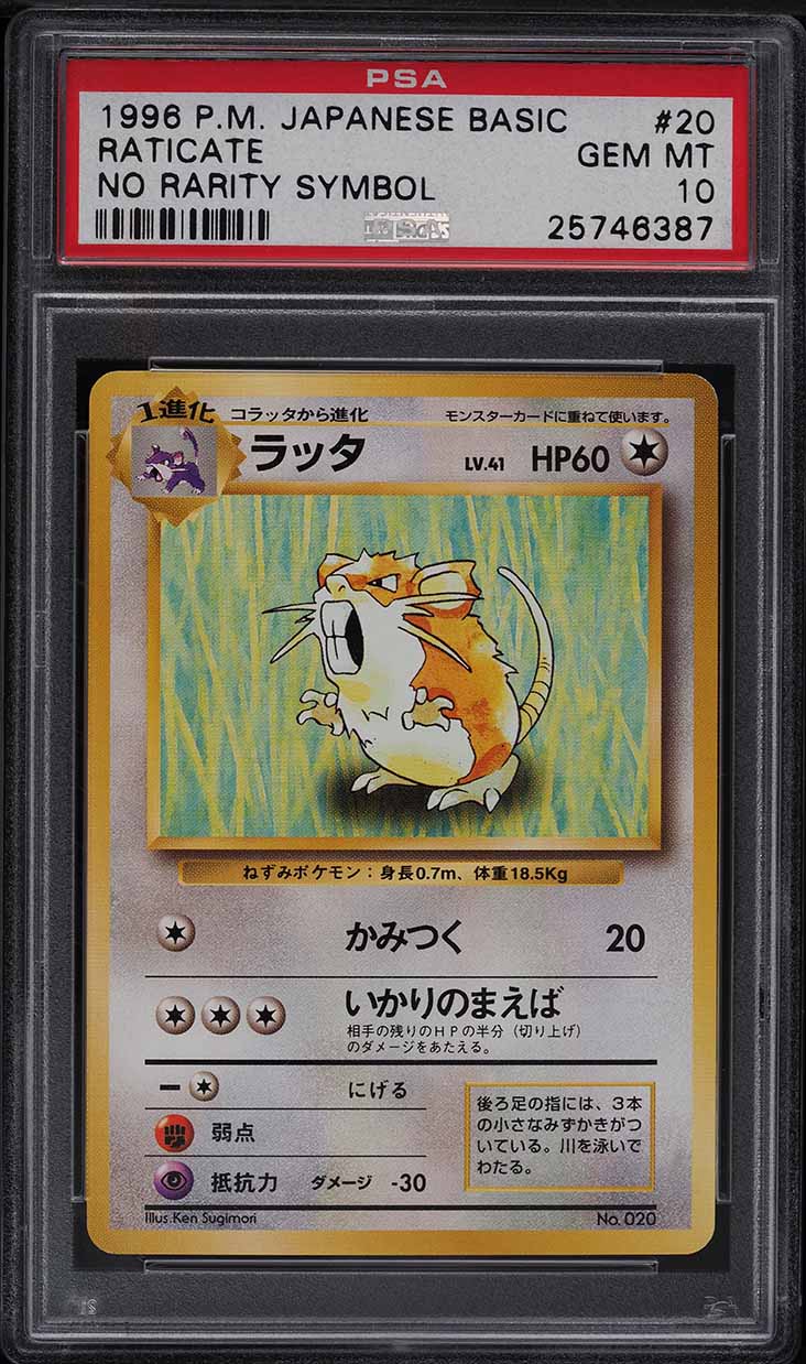 1996 Pokemon Japanese Basic No Rarity Symbol Raticate #20 PSA 10 GEM MINT