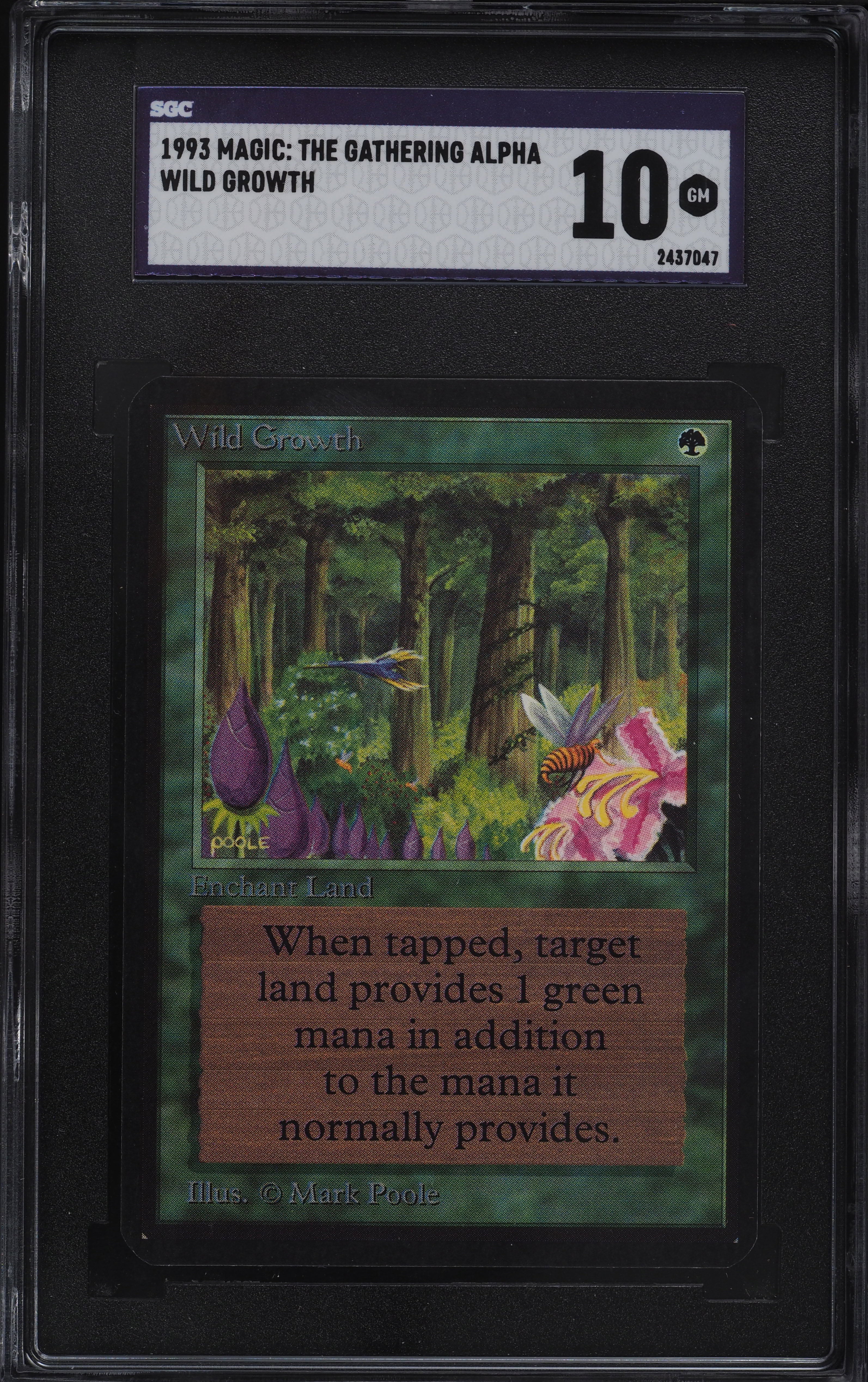 1993 Magic The Gathering MTG Alpha Wild Growth SGC 10 GEM MINT on