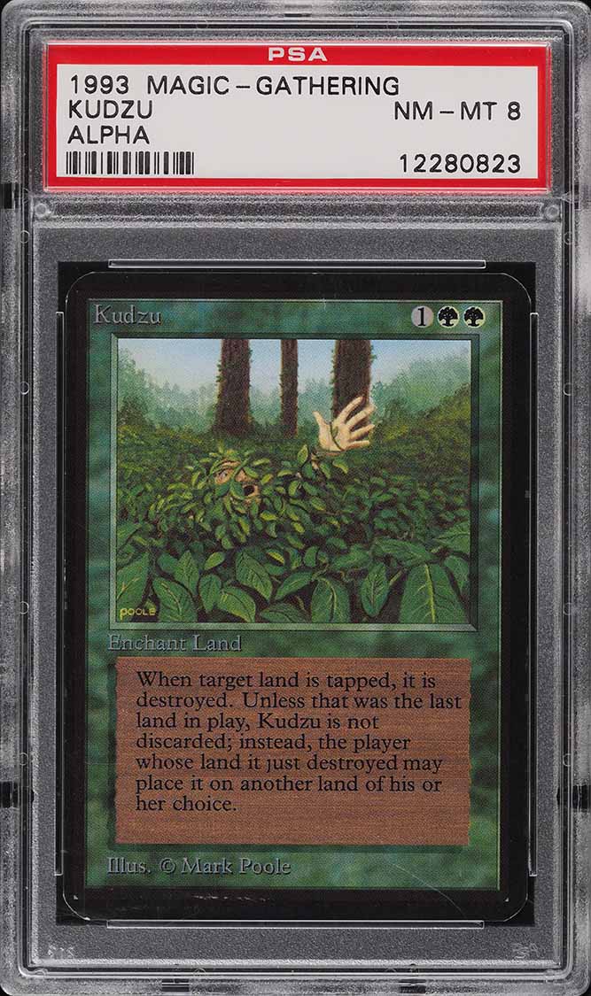 1993 Magic The Gathering MTG Alpha Kudzu R G PSA 8 NM-MT on
