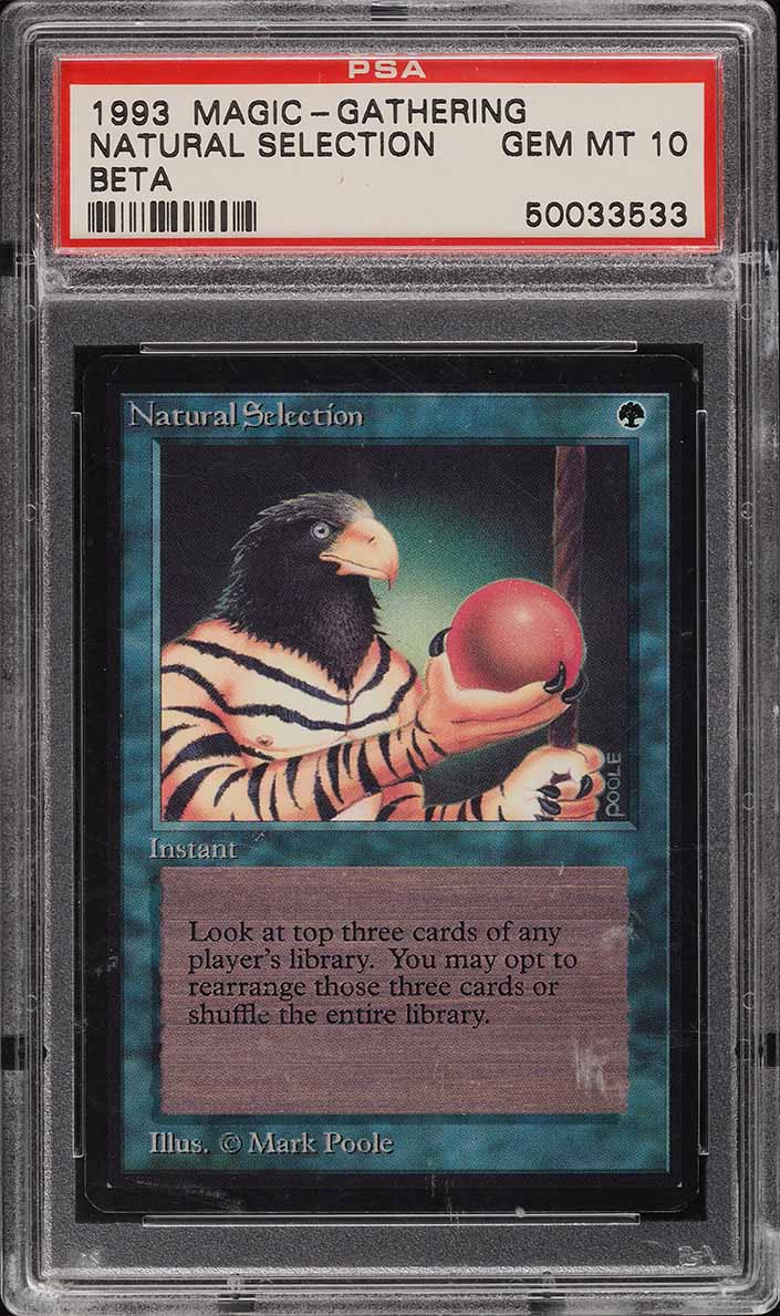 1993 Magic The Gathering MTG Beta Natural Selection PSA 10 GEM MINT