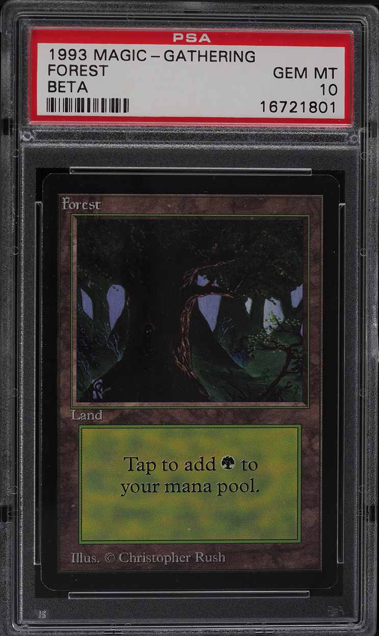 1993 Magic The Gathering MTG Beta Forest PSA 10 GEM MINT