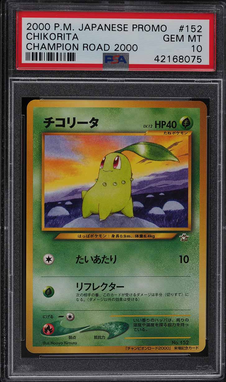 Chikorita