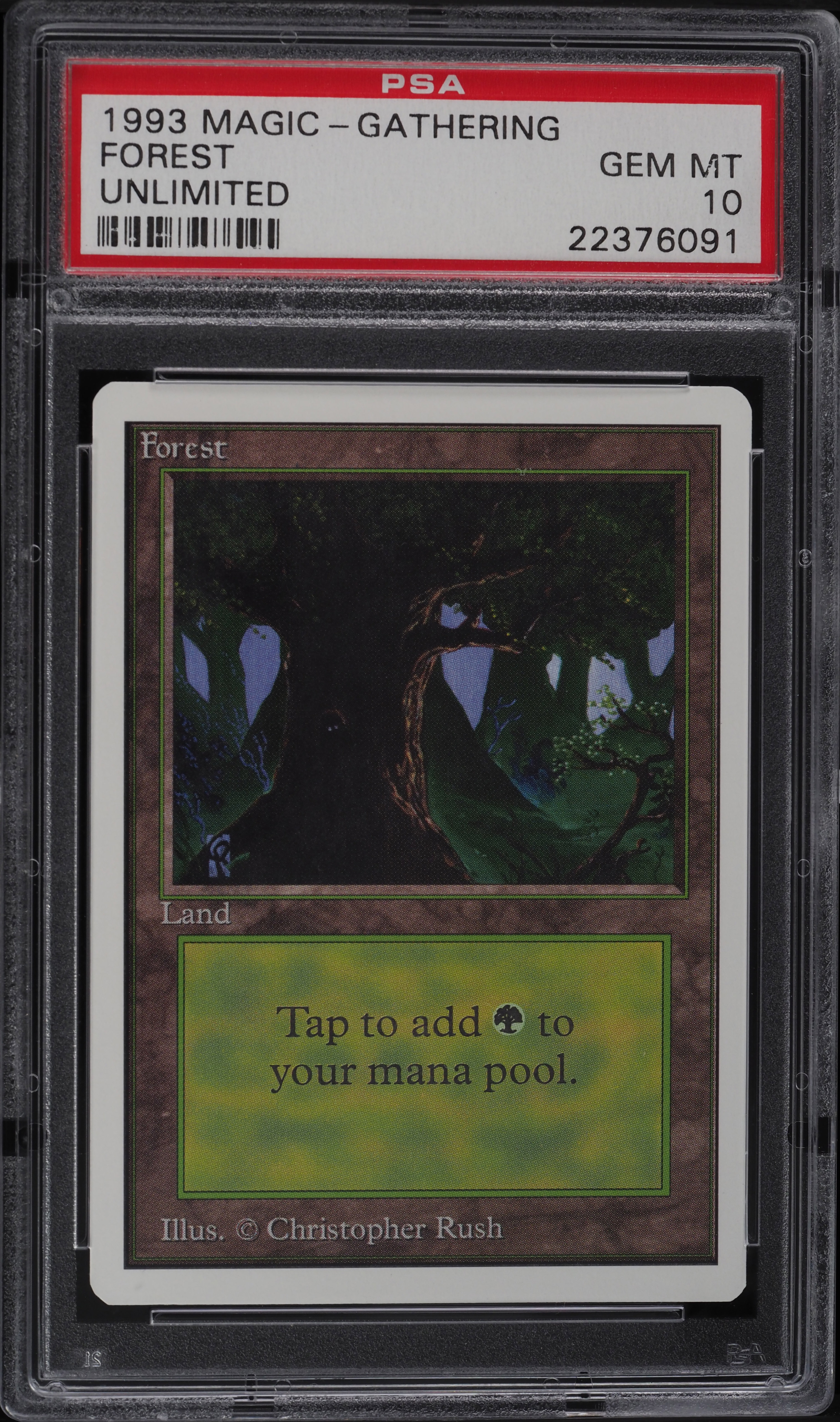 マジック：ザ・ギャザリング MTG  covered forest PSA10 v145711_2021040914574982R_55.jpg