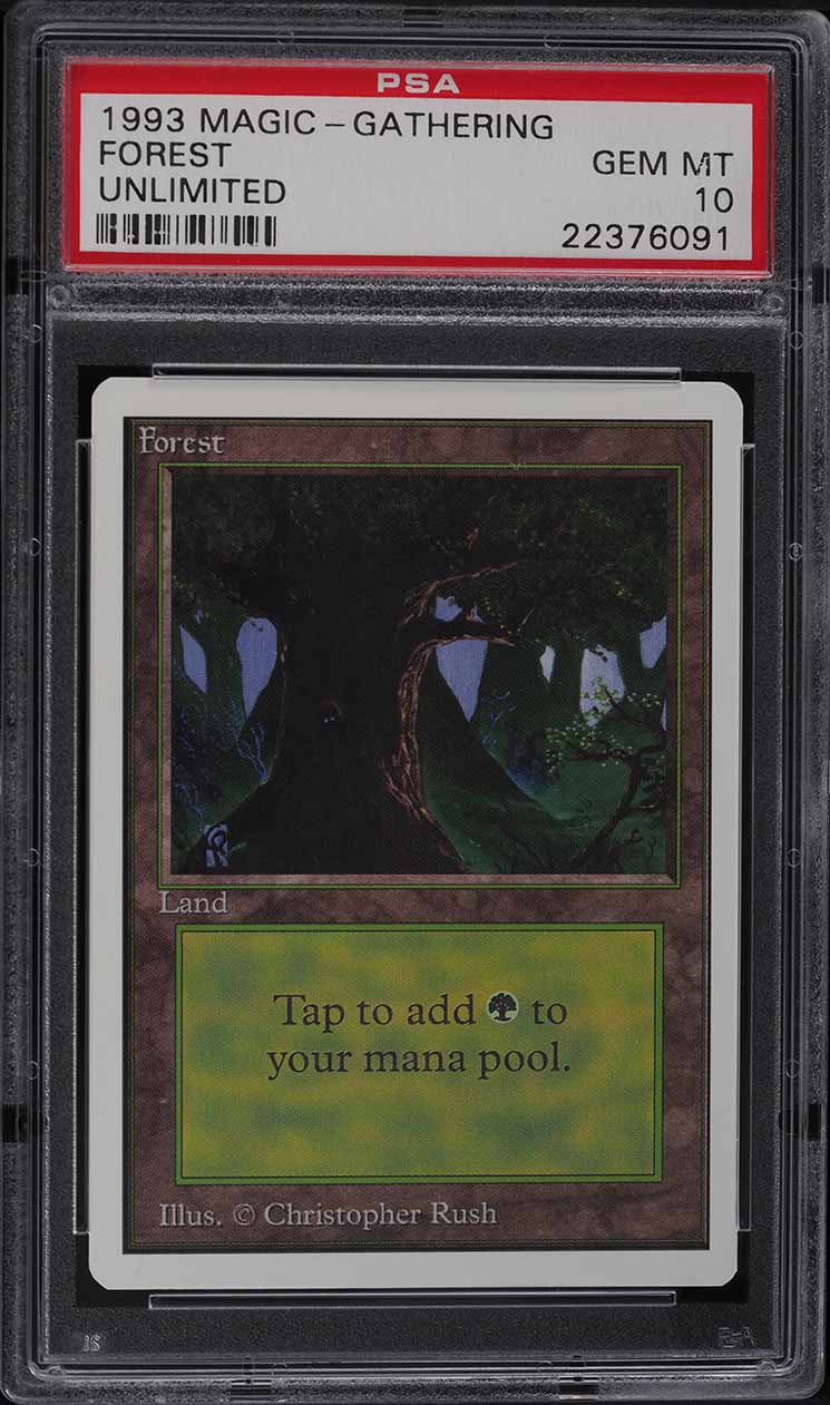 Magic the Gathering [003] UNLIMITED EDITION Single Card - 092/302 : Forest