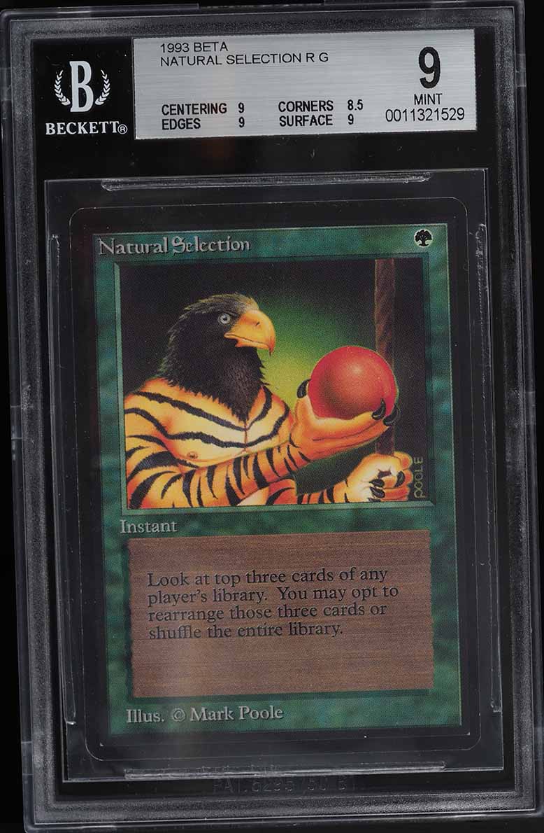 1993 Magic The Gathering MTG Beta Birds Of Paradise R G BGS 9.5
