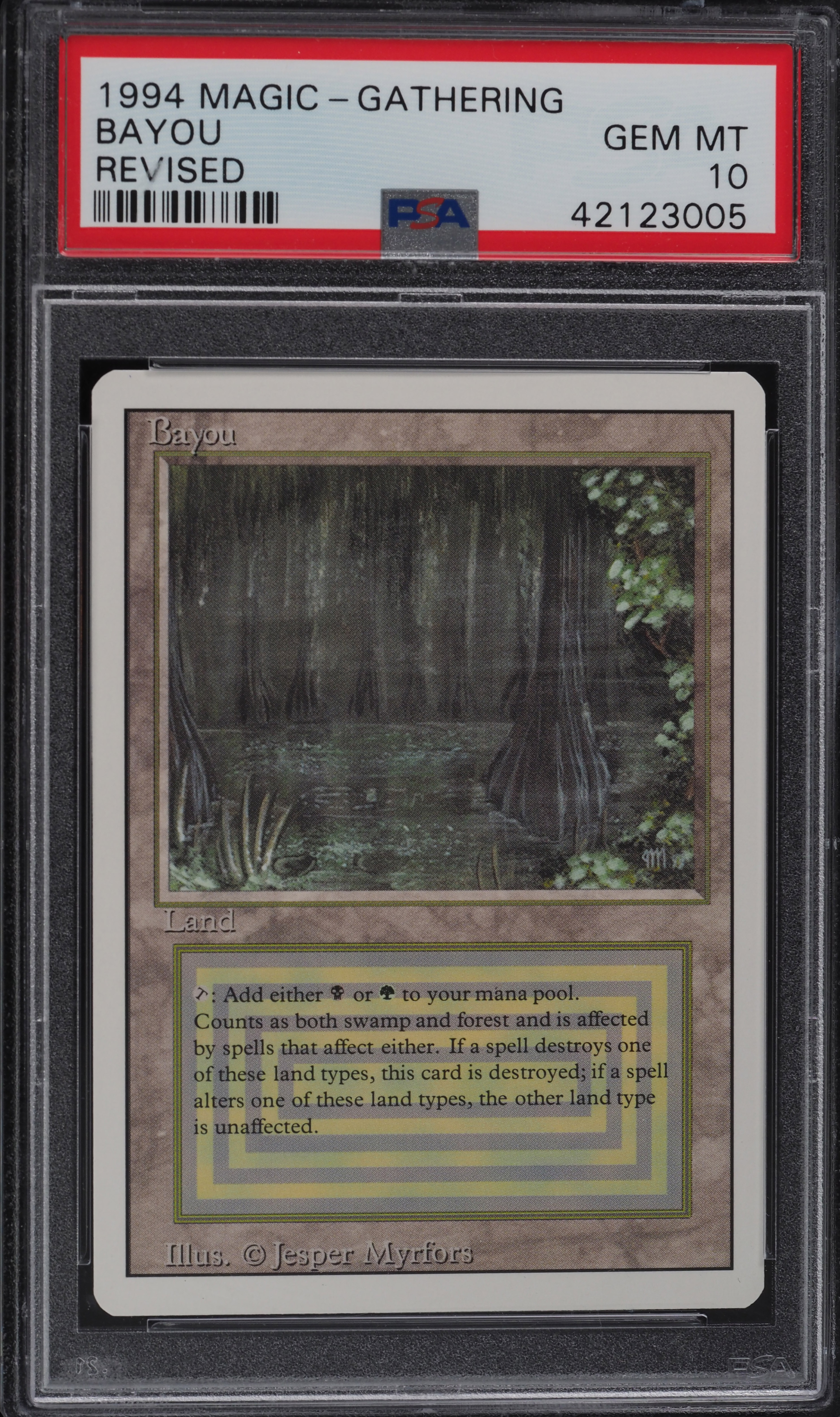 Bayou デュアルランド v157759_2021050810150183R_85.jpg