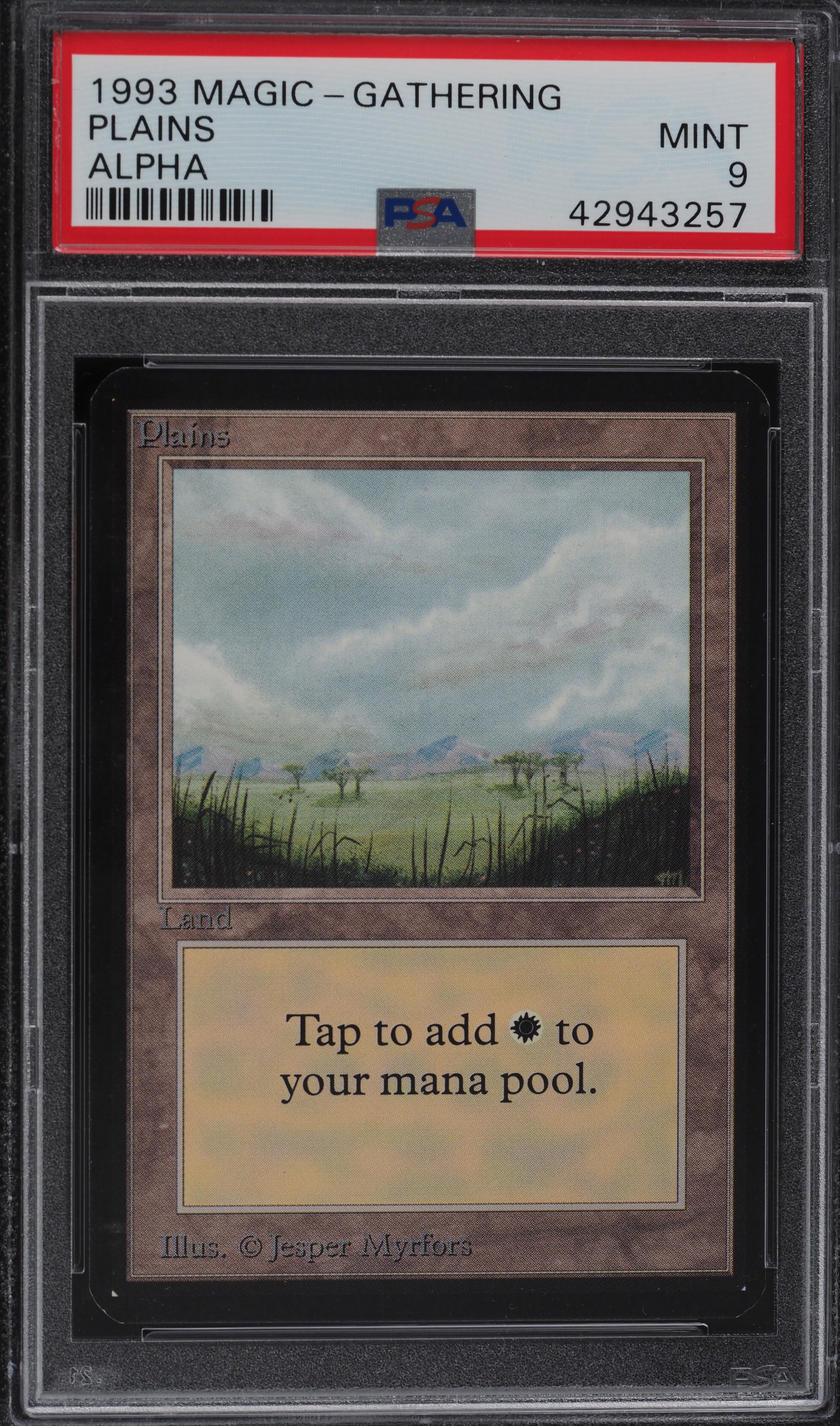 1993 Magic The Gathering MTG Alpha Plains PSA 9 MINT on Fanatics