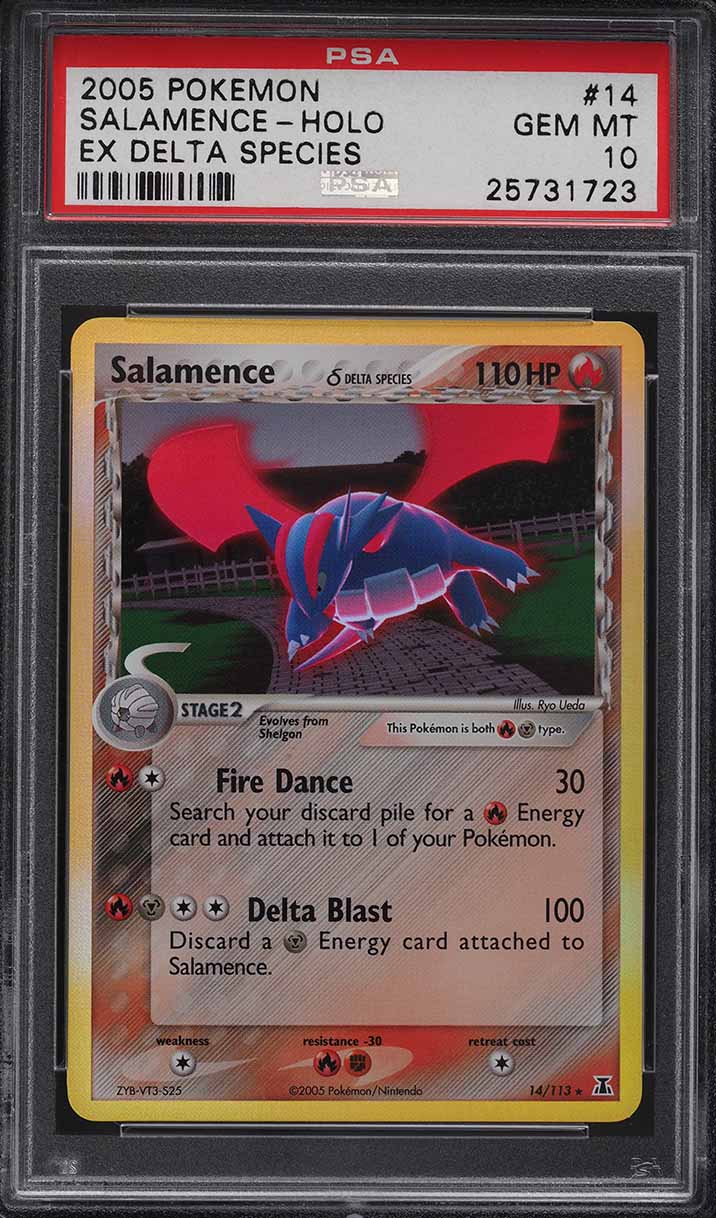 Salamence