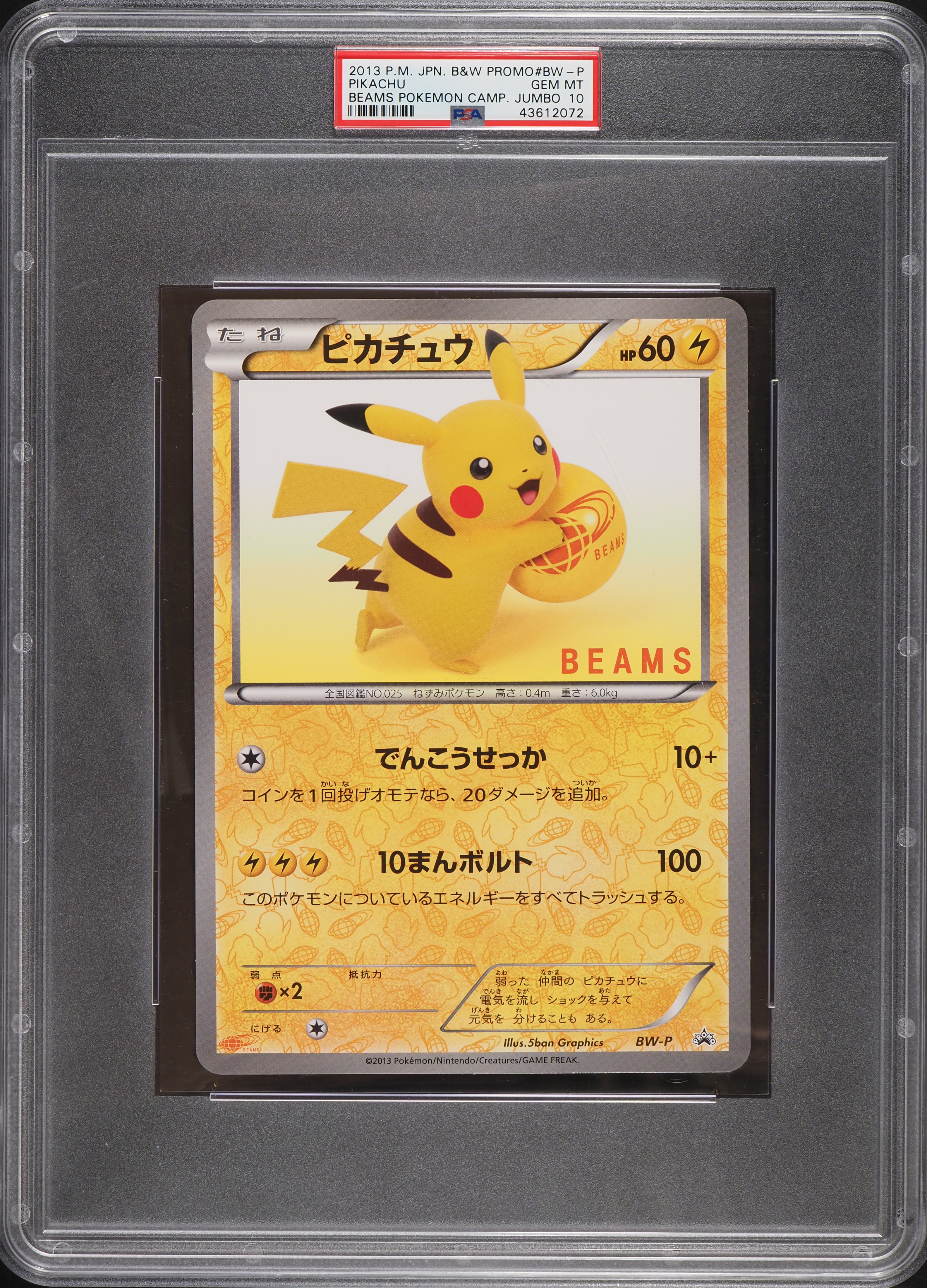 2013 Pokemon Japanese Black & White Promo Beams Camp. Jumbo