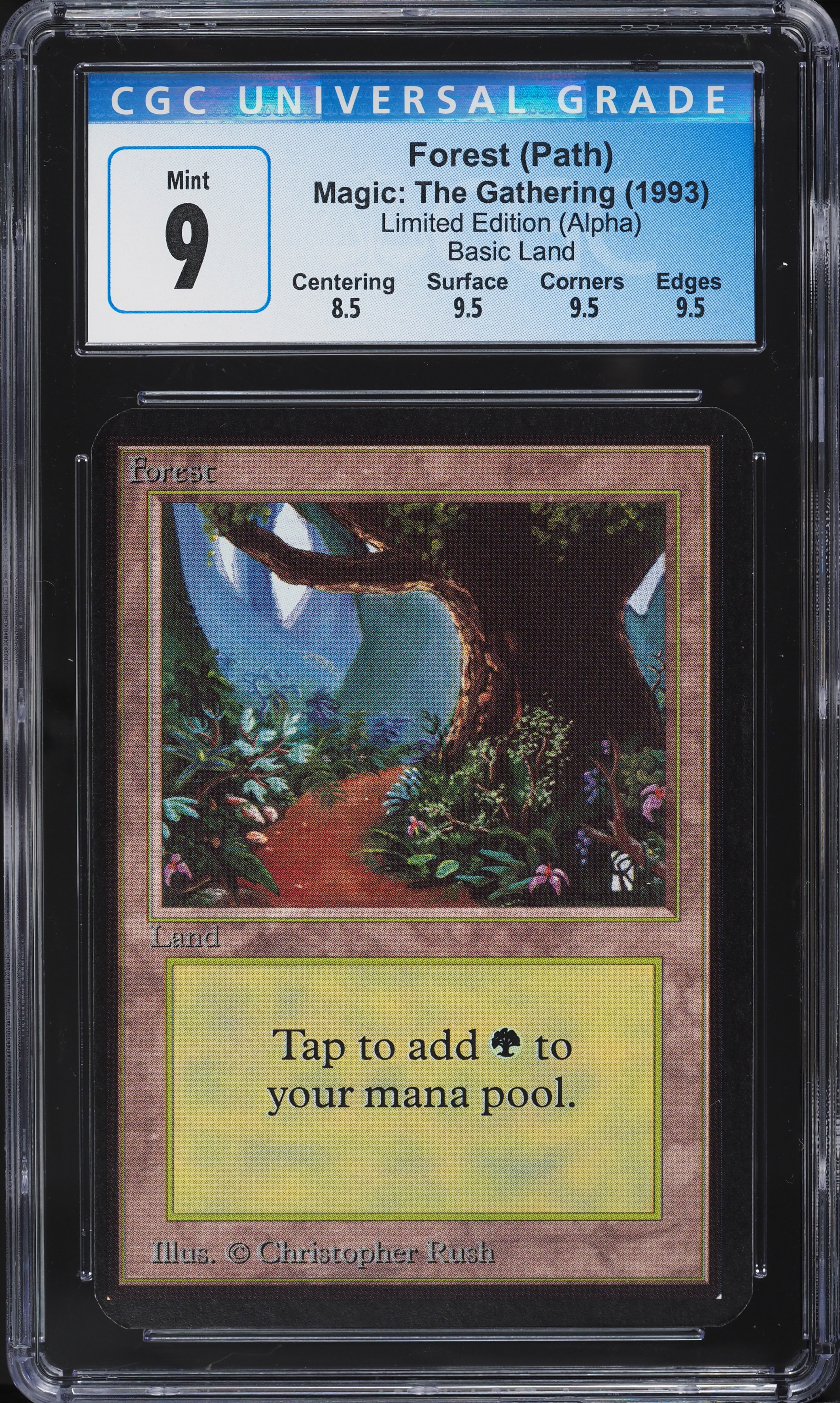 1993 Magic The Gathering MTG Alpha Path Forest V1 C L CGC 9 MINT