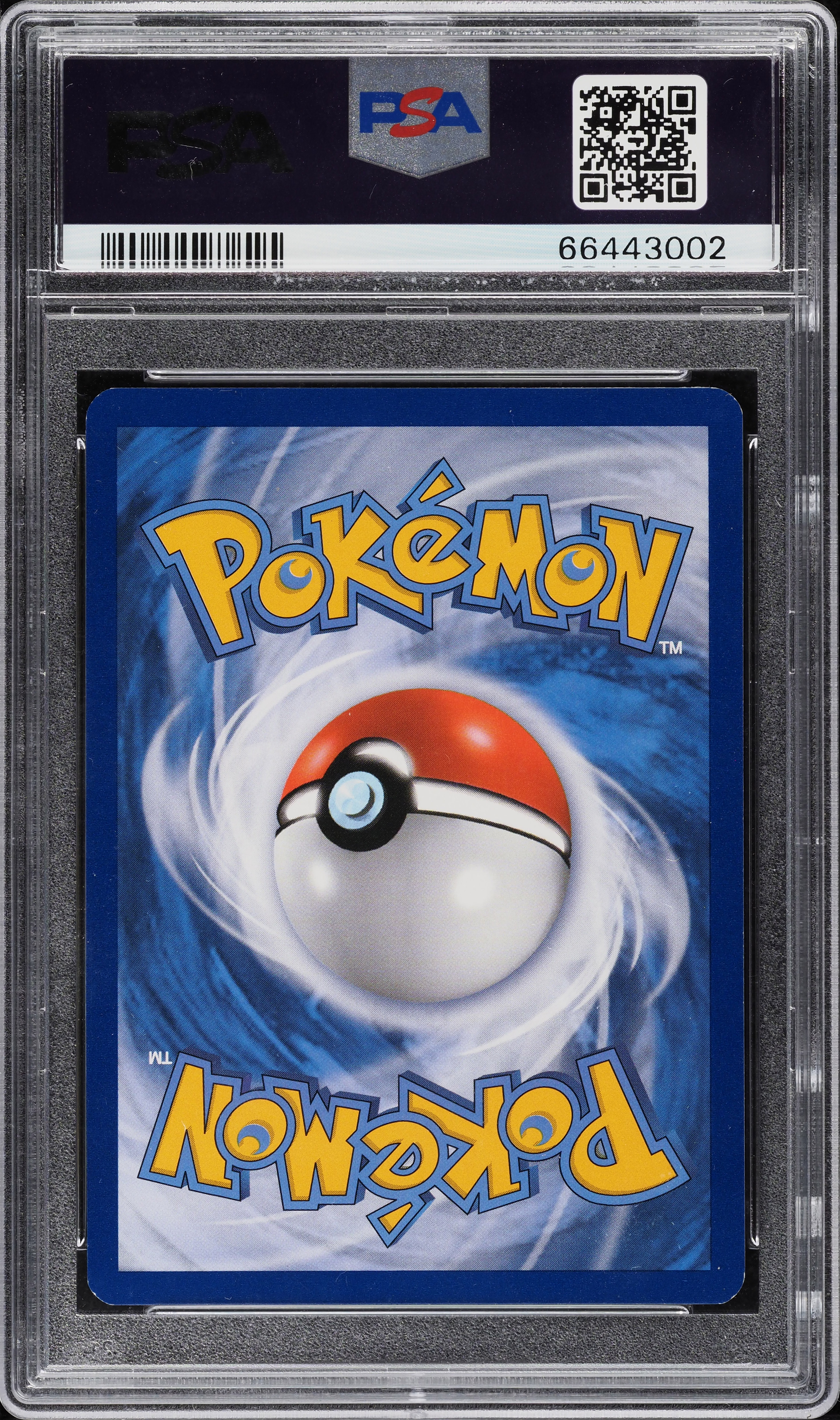 2015 Pokemon XY Black Star Promo Worlds Finalist Champions