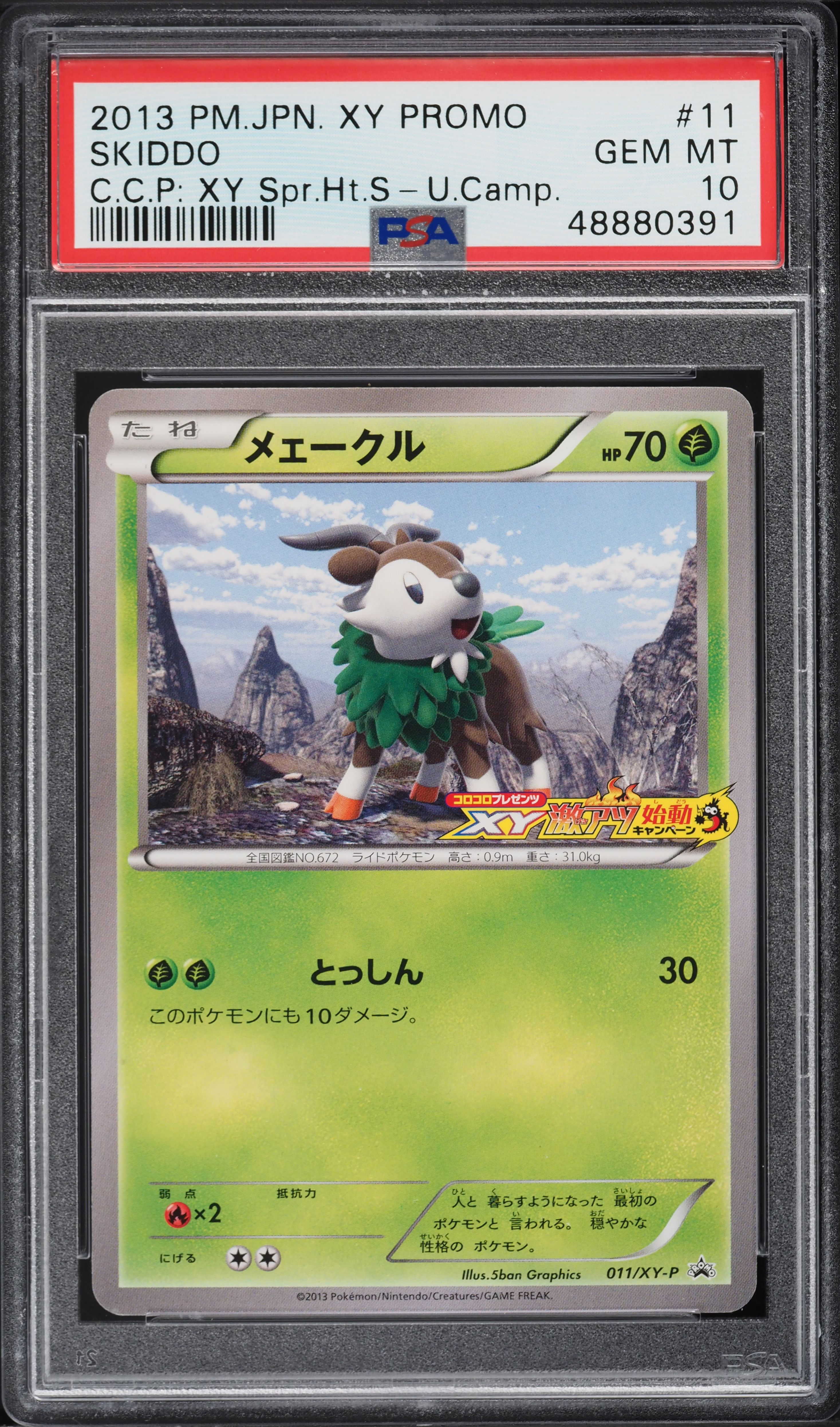 pokemon quilava card Quilava Cards | Dex