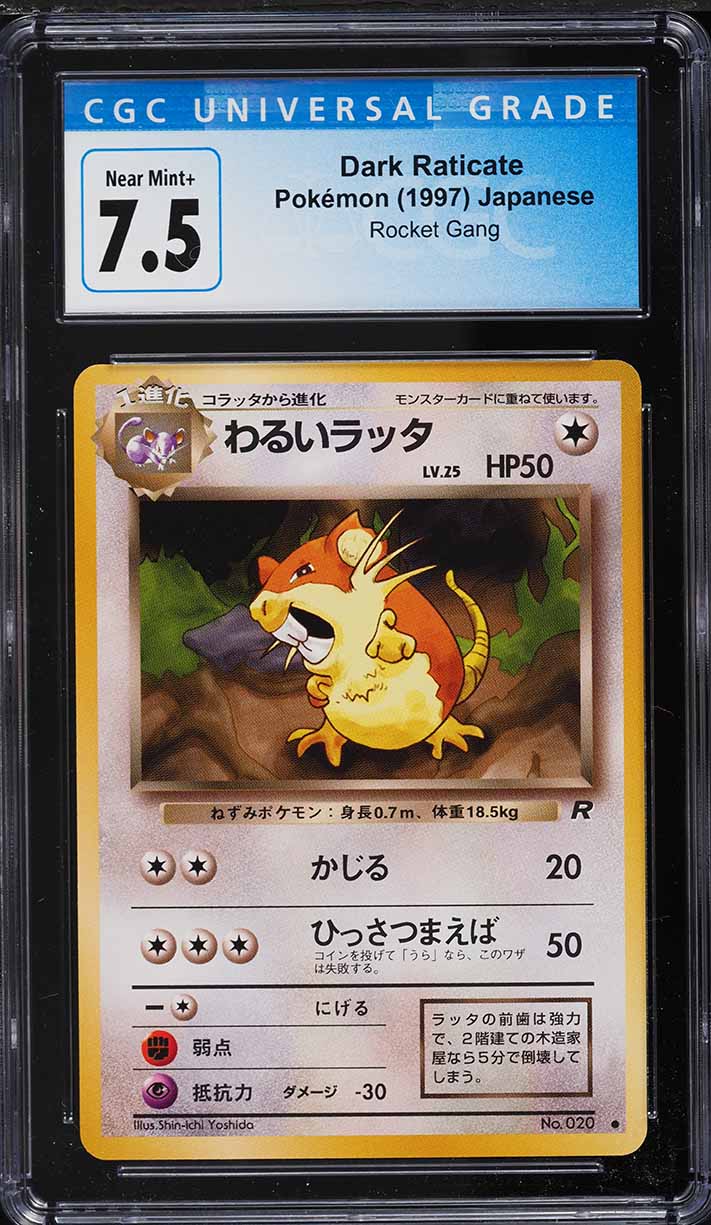 2000 Pokemon Team Rocket 1st Edition Dark Raticate #51 CGC 10 GEM MINT on Fanatics Collect 2000 Pokemon Team Rocket 1st Edition Dark Raticate #51 CGC 10 GEM MINT on Fanatics Collect