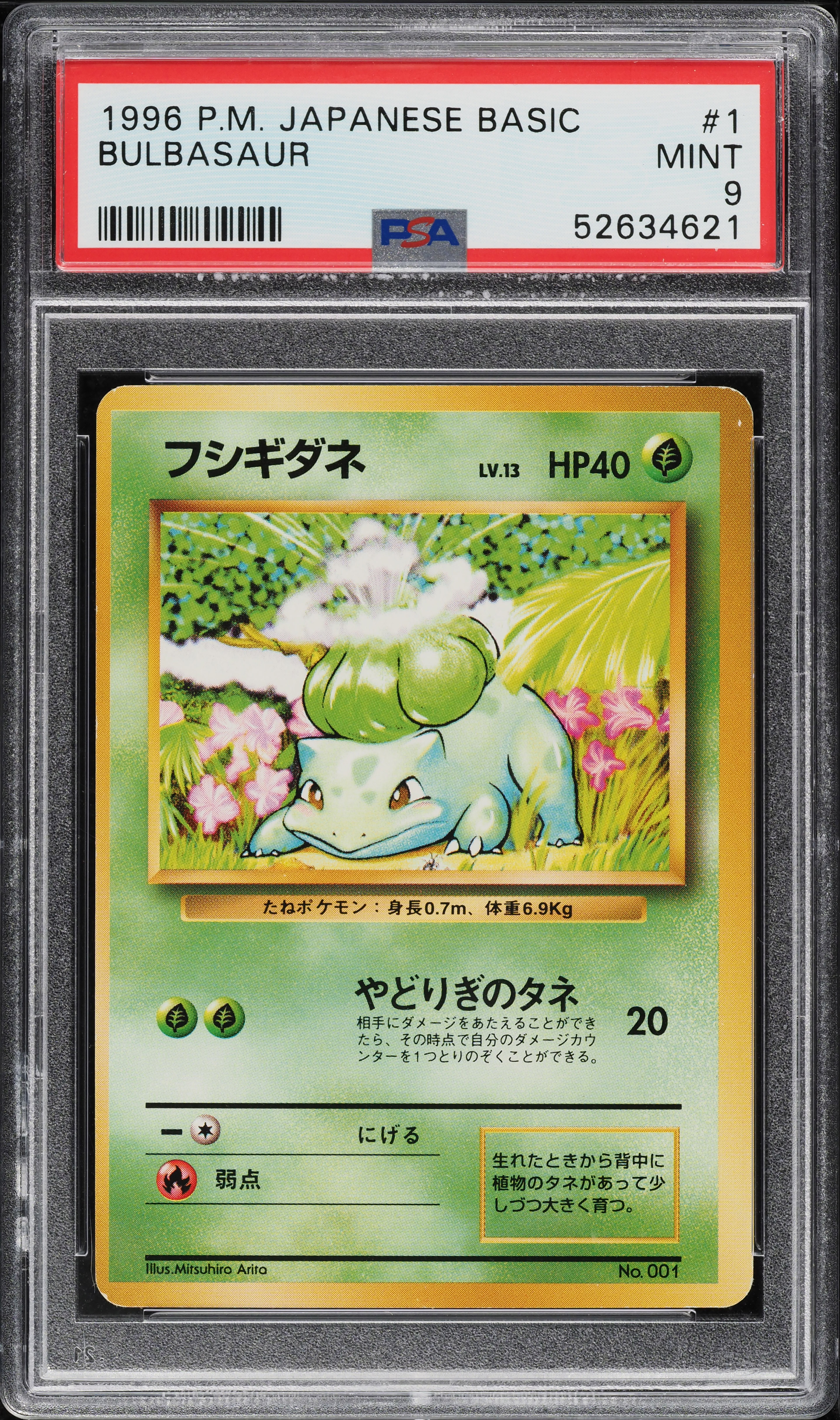 1996 Pokemon Japanese Base Set No Rarity Symbol Bulbasaur #1 PSA 9 MINT on Fanatics Collect 1996 Pokemon Japanese Base Set No Rarity Symbol Bulbasaur #1 PSA 9 MINT on Fanatics Collect