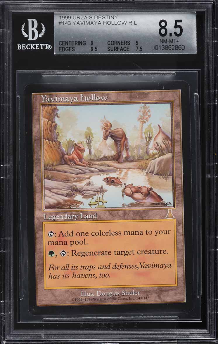 2001 Magic The Gathering MTG Apocalypse Foil Yavimaya Coast R L
