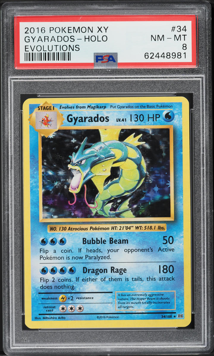 2016 Pokemon XY Evolutions Holo Gyarados #34 PSA 8 NM-MT