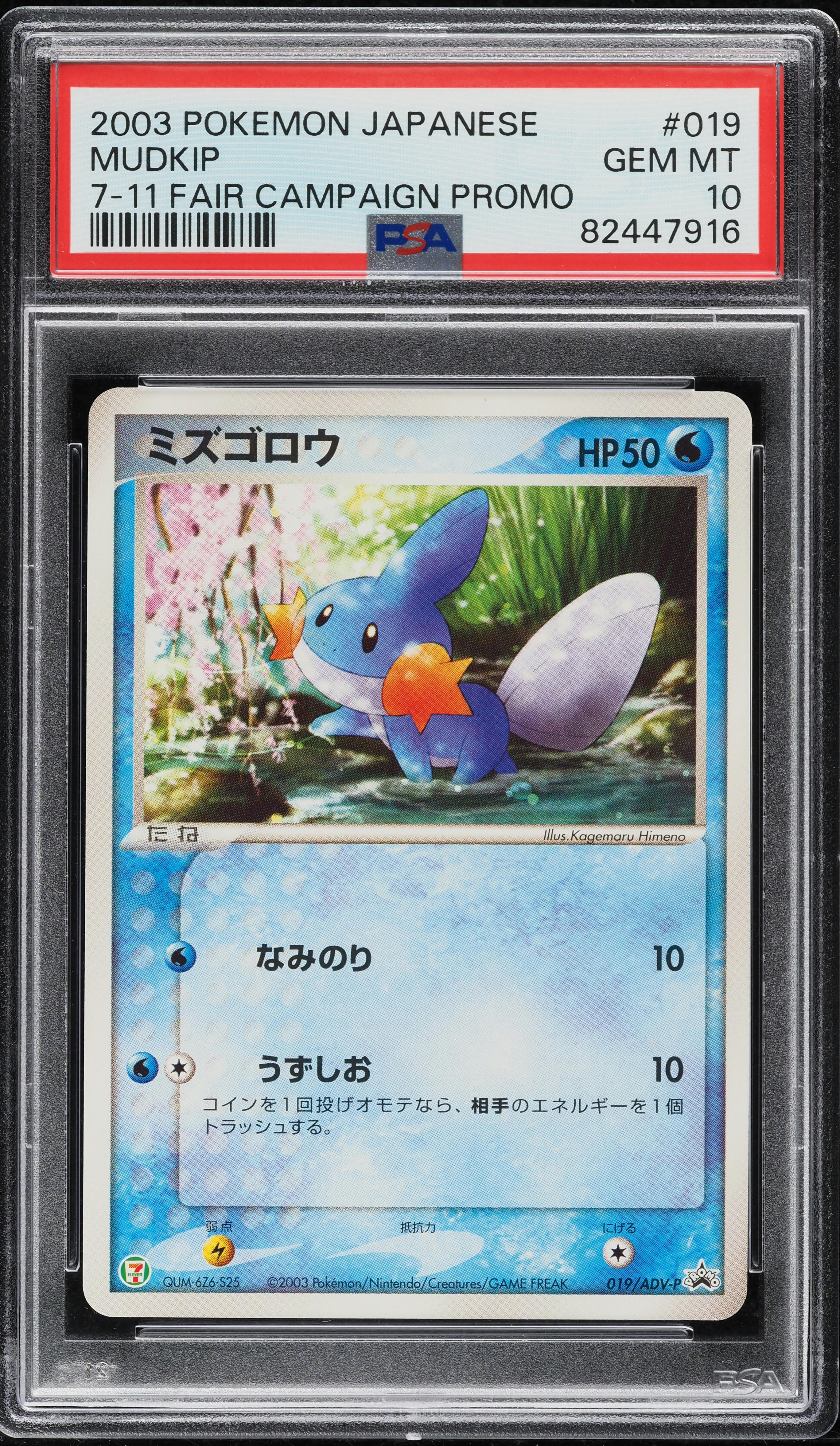 mudkip pokemon card value 2003 Japanese Promo 7-11 Fair Campaign #019 PSA 10 GEM MINT on Fanatics Collect Pokémon Hit Points70 HP Form Pokemon Primal Clash Mudkip #33