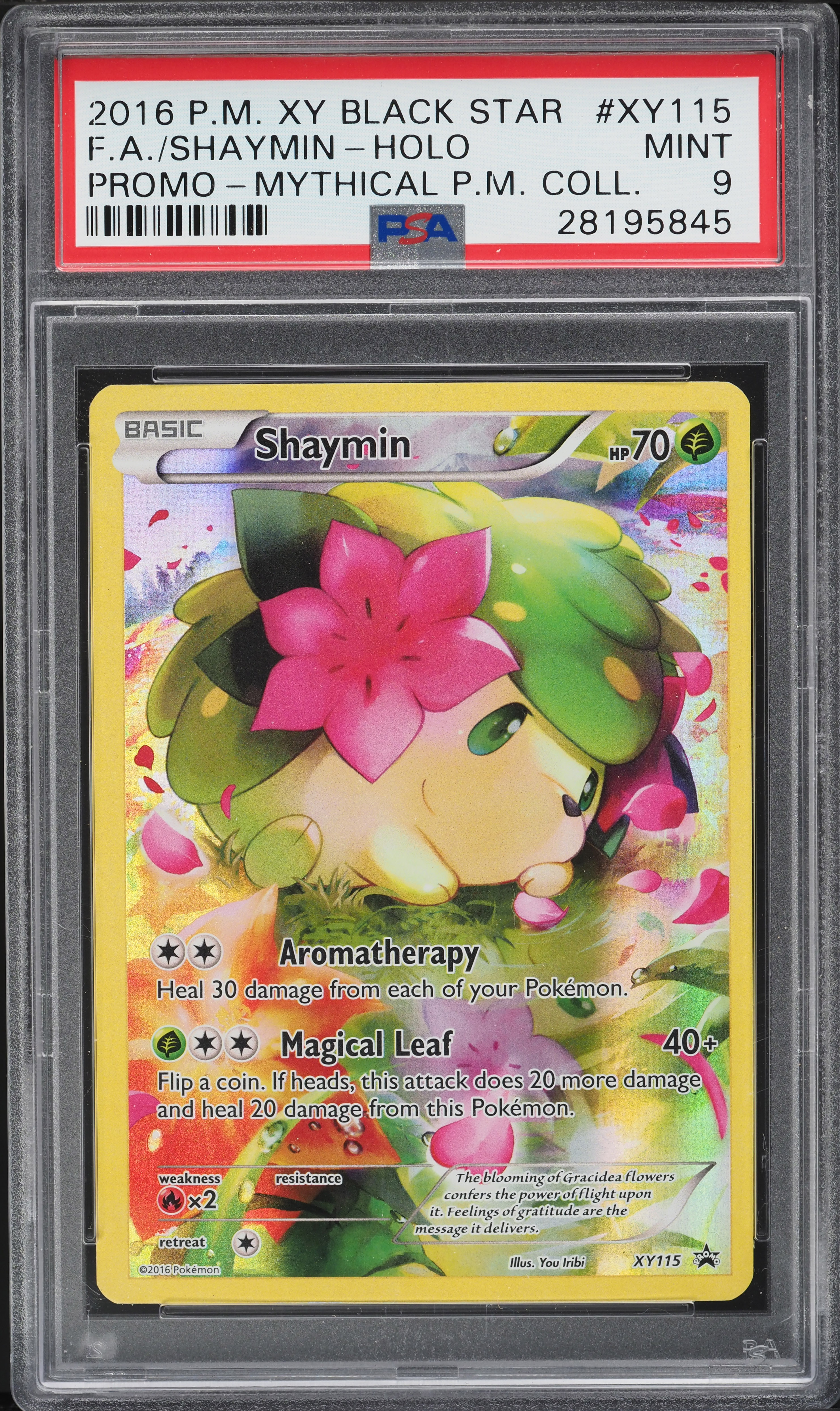 PSA9】 ビジュアルアドベンチャー No 255 ついにクライマックス!! PSA9