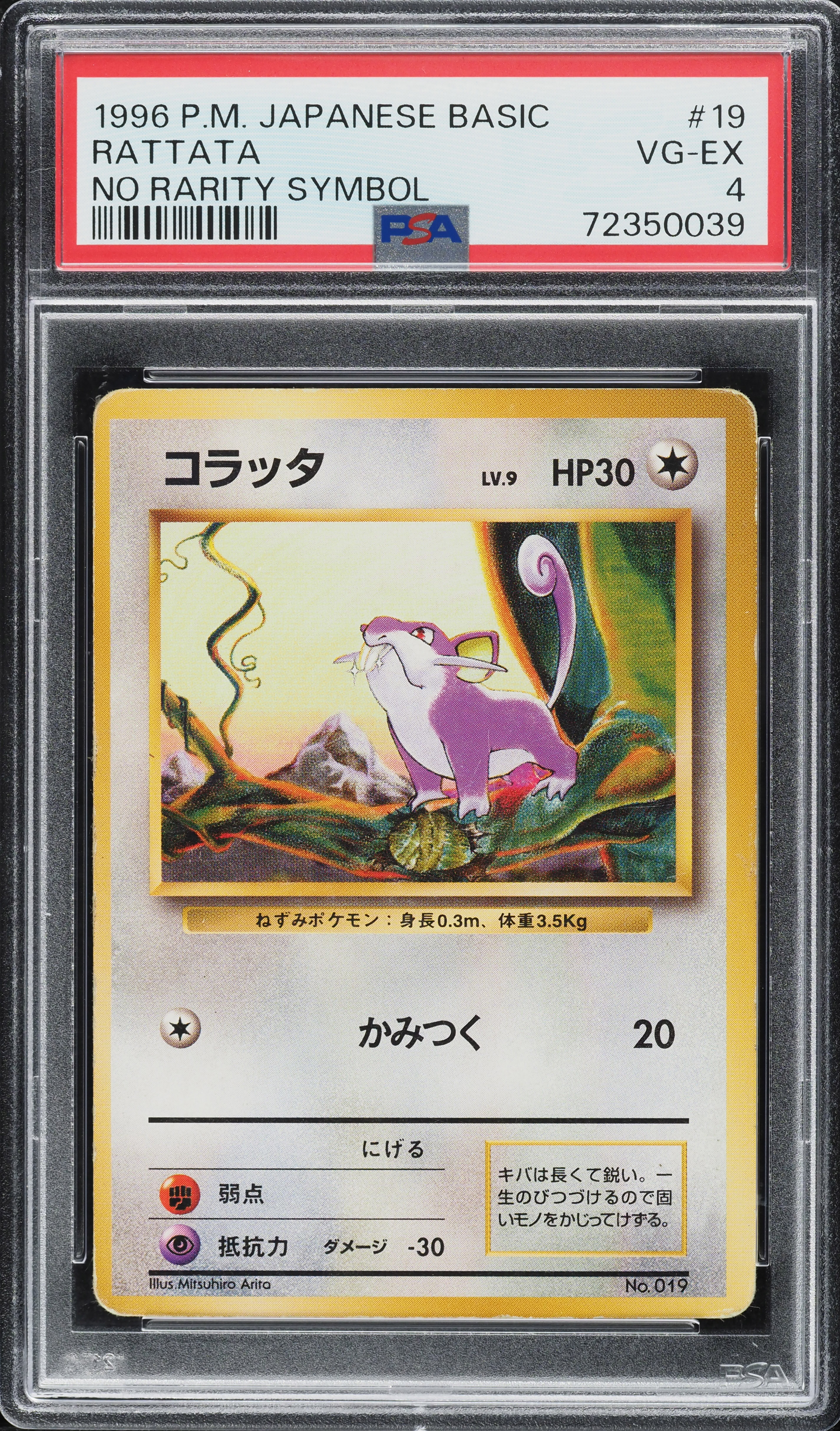1996年 コラッタ #19 MINT ノーレアリティシンボル ポケモンカード ポケカ ラッタ 旧裏 初版 PSA9 マークなし pokemon