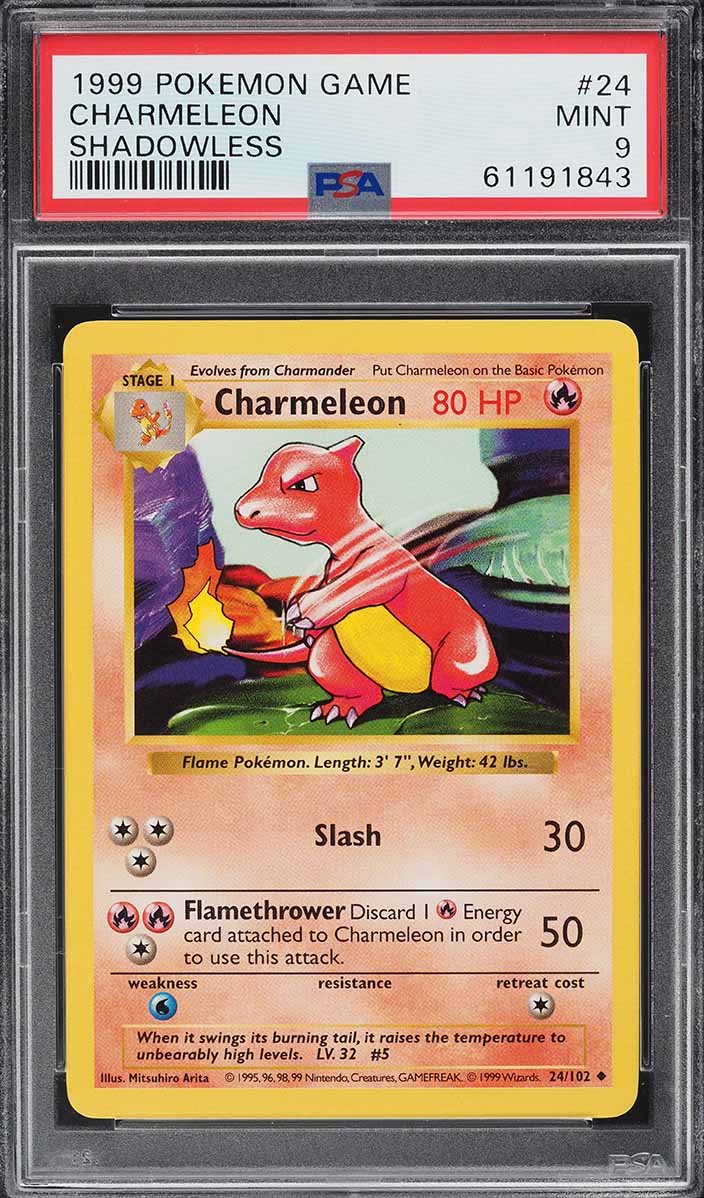 1999 Pokemon Base Set Shadowless Charmeleon #24 PSA 9 MINT
