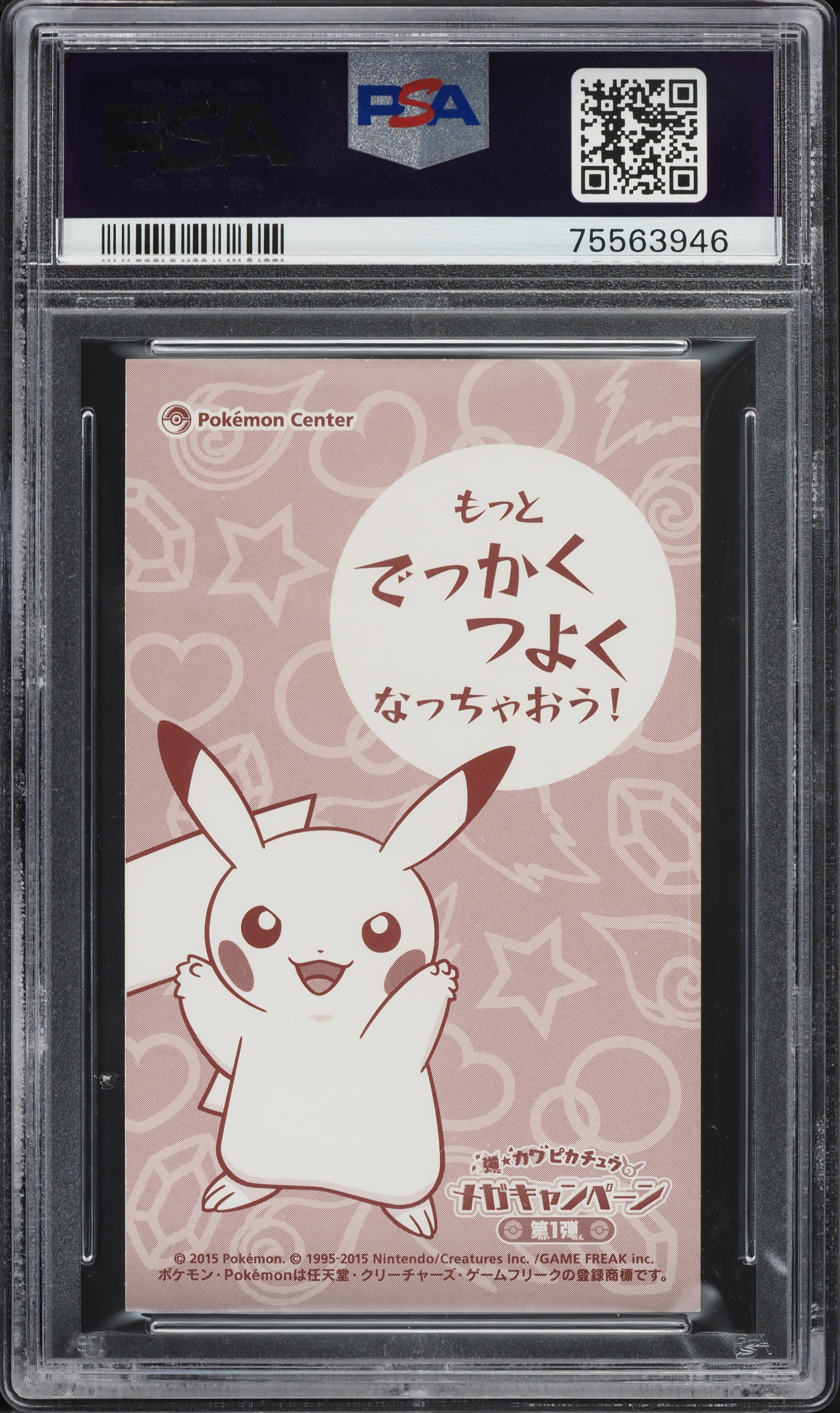 2015 Pokemon Japanese XY Promo MC Business Card Charizard Poncho
