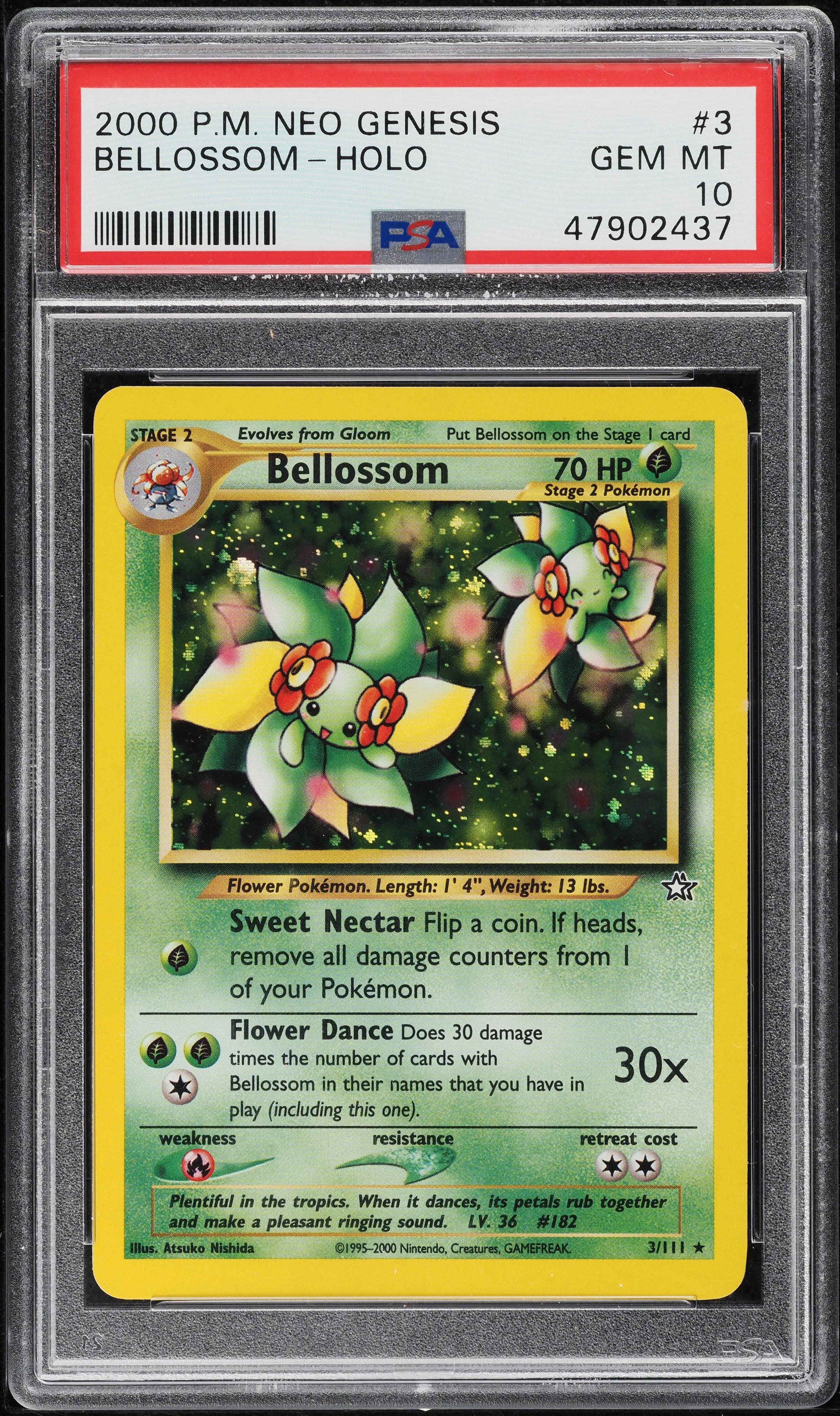 1998 Pokemon Japanese Gym 1 Brock PSA 10 GEM MINT on Fanatics Collect