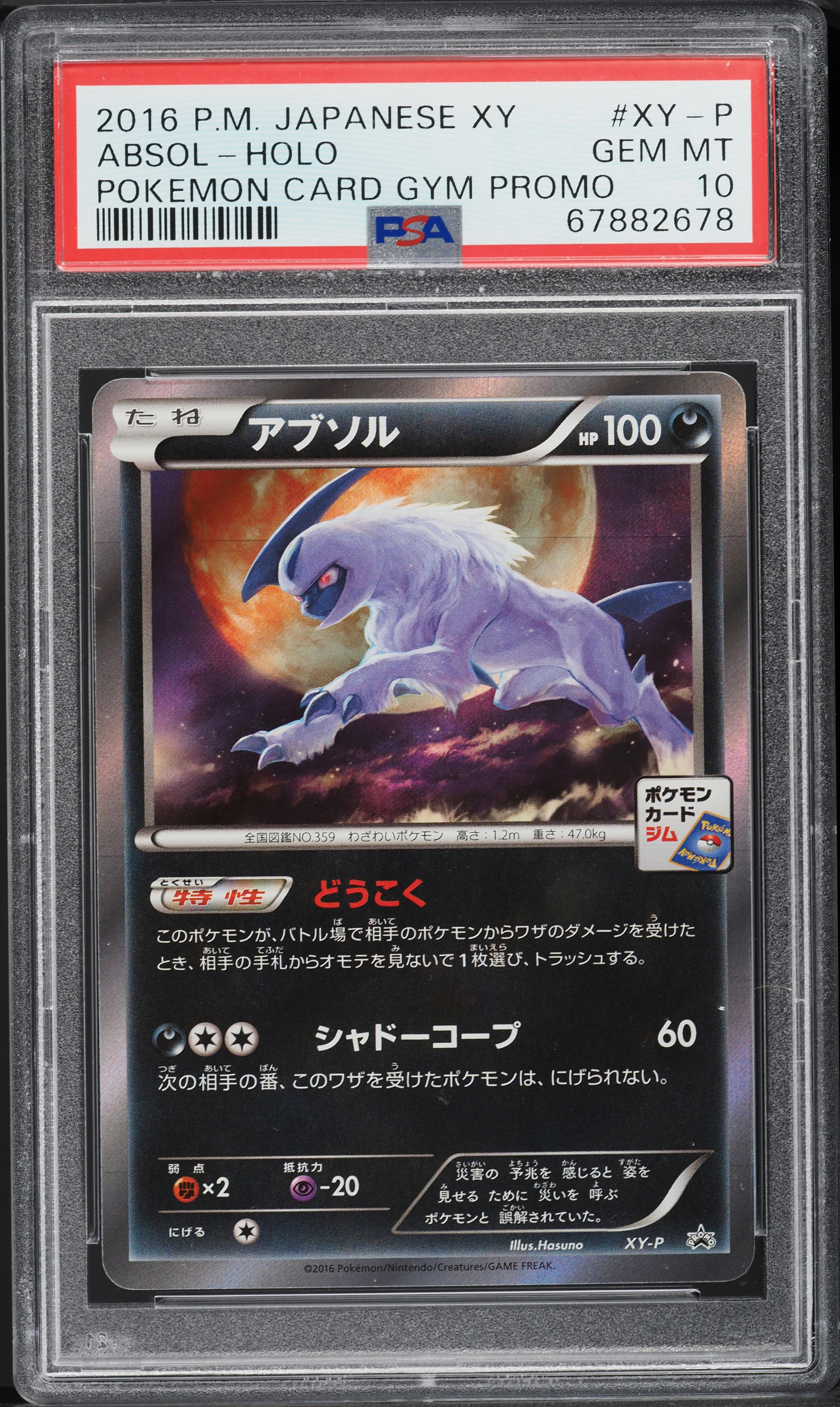 2016 Pokemon Japanese XY Promo Pokemon Card Gym Holo Absol #XY-P