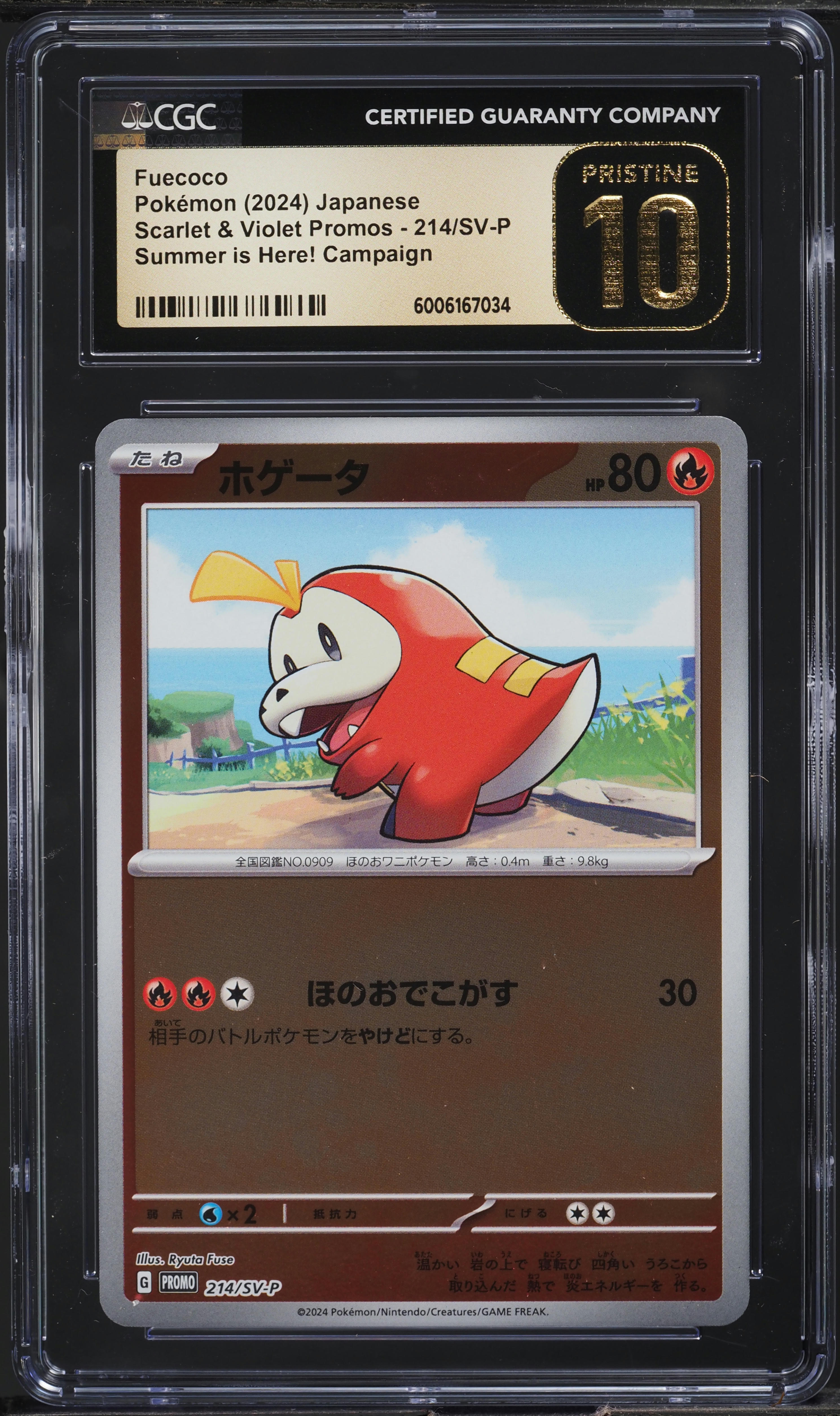 japanese promo pokemon cards 2024 Illustrator Contest Pack and Toxtricity Eevee 2024 Japanese Scarlet &