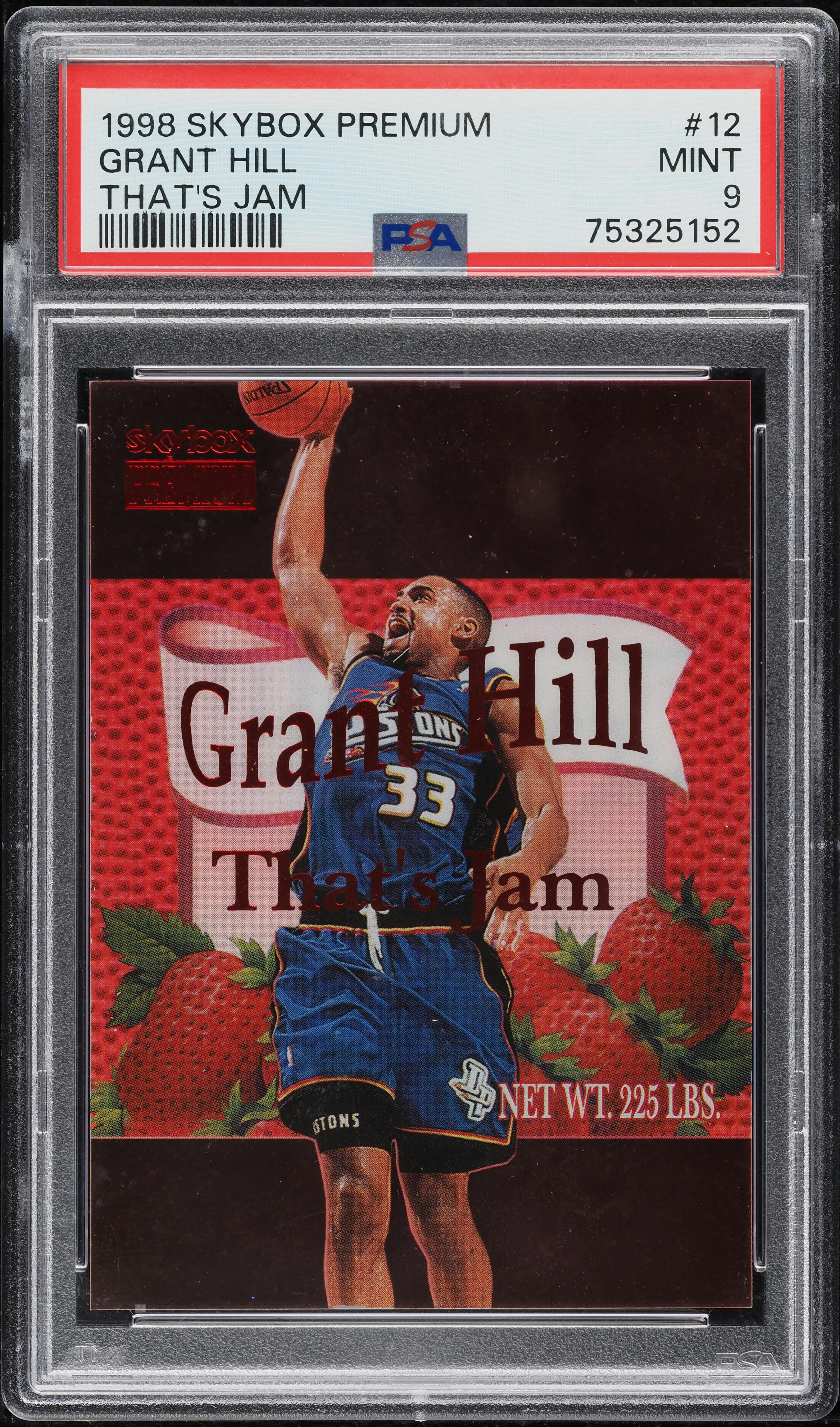 1998-99 SkyBox Premium Soul of the Game Scotty Pippen スコッティ 