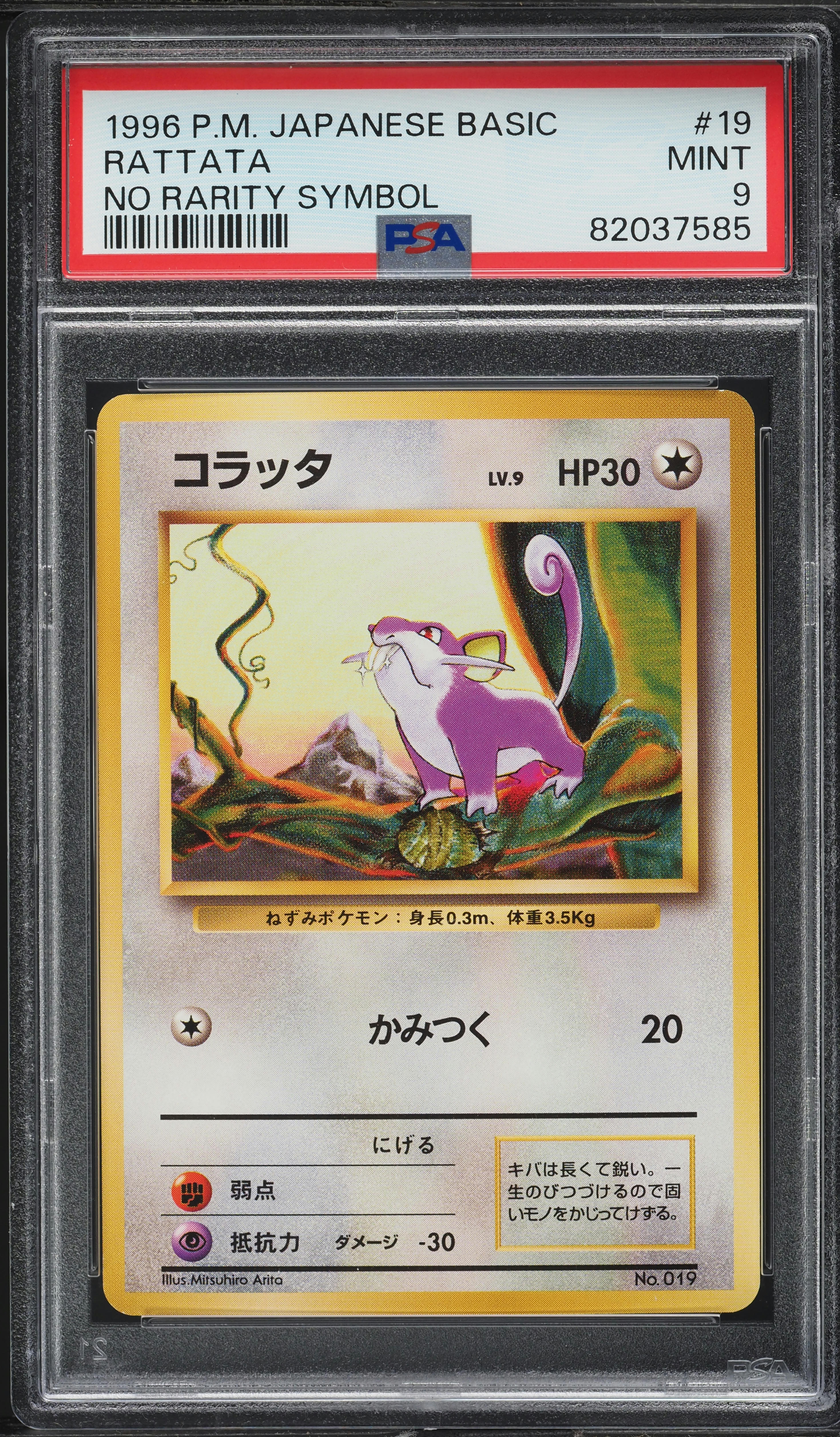 1996 Pokemon Japanese Base Set No Rarity Symbol Rattata #19 PSA 9