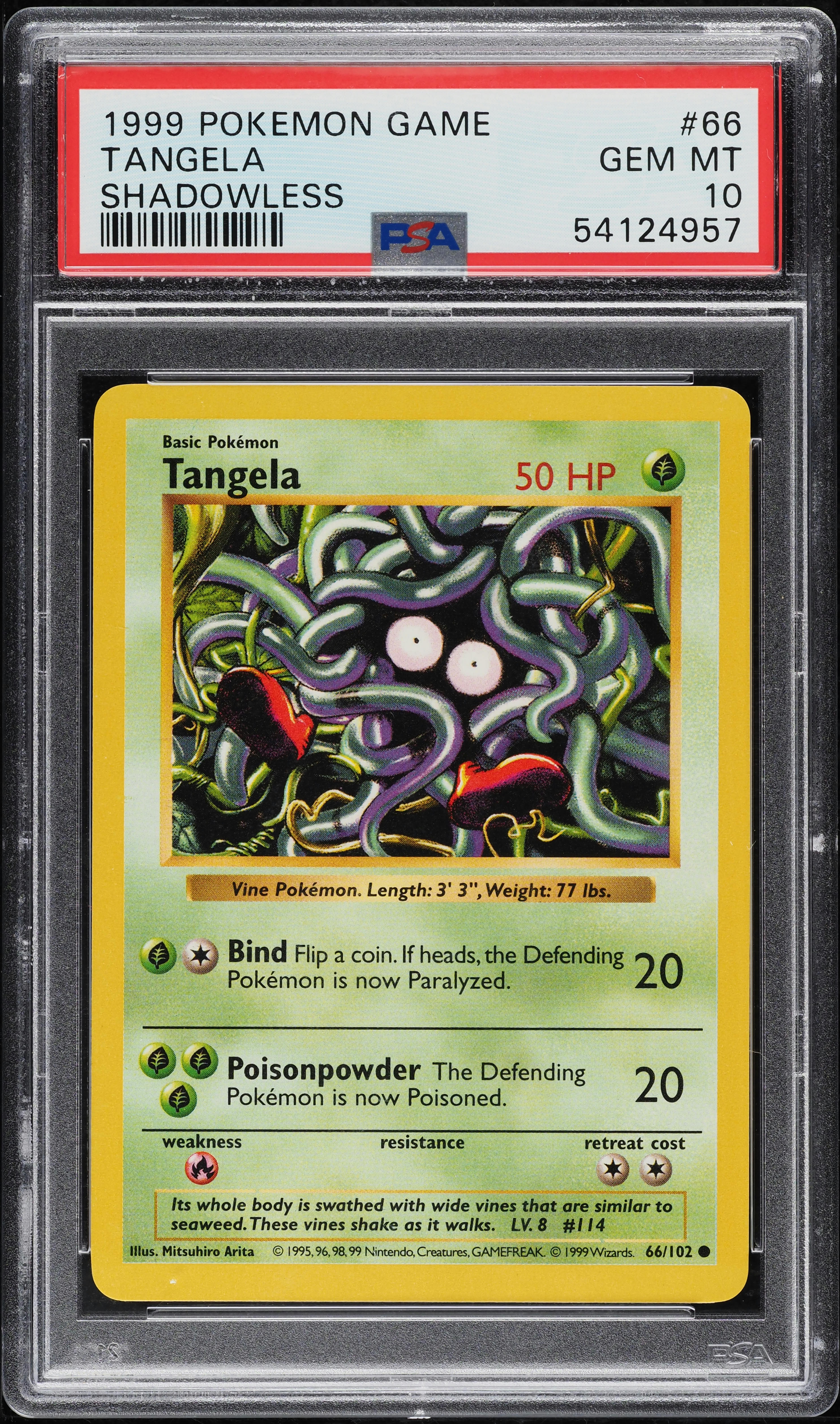 tangela pokemon card 1995 Base Set 1999 Unlimited Print VG, 66/102 Hidden beneath a tangle of vines that grows nonstop even if the vines are torn off Common Cuties Part 31 featuring