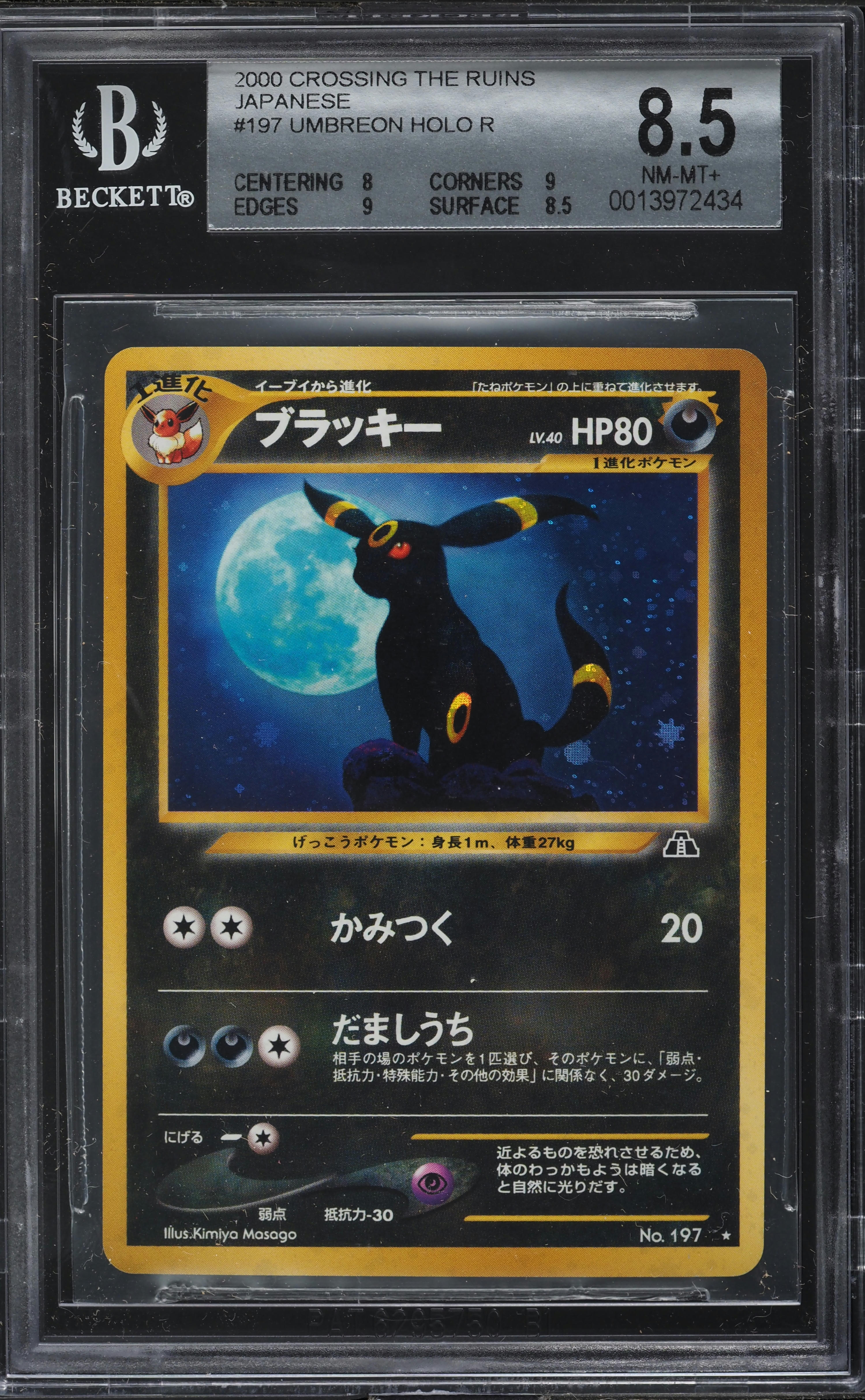 PSA8 旧裏 ヤンヤンマ neo2 遺跡をこえて ホロ キラ v881376_2024050912214490R_19.jpg