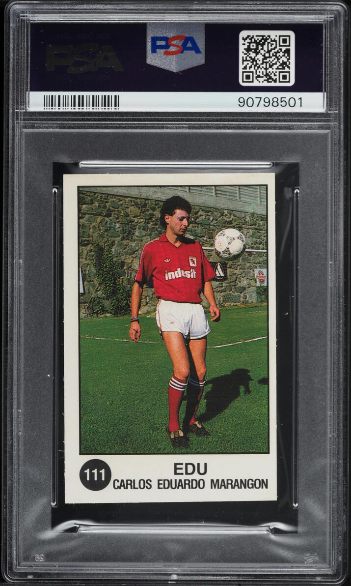 1988 Panini Supersport Italian Drazen Petrovic & Edu ROOKIE #152 PSA 8 NM-MT