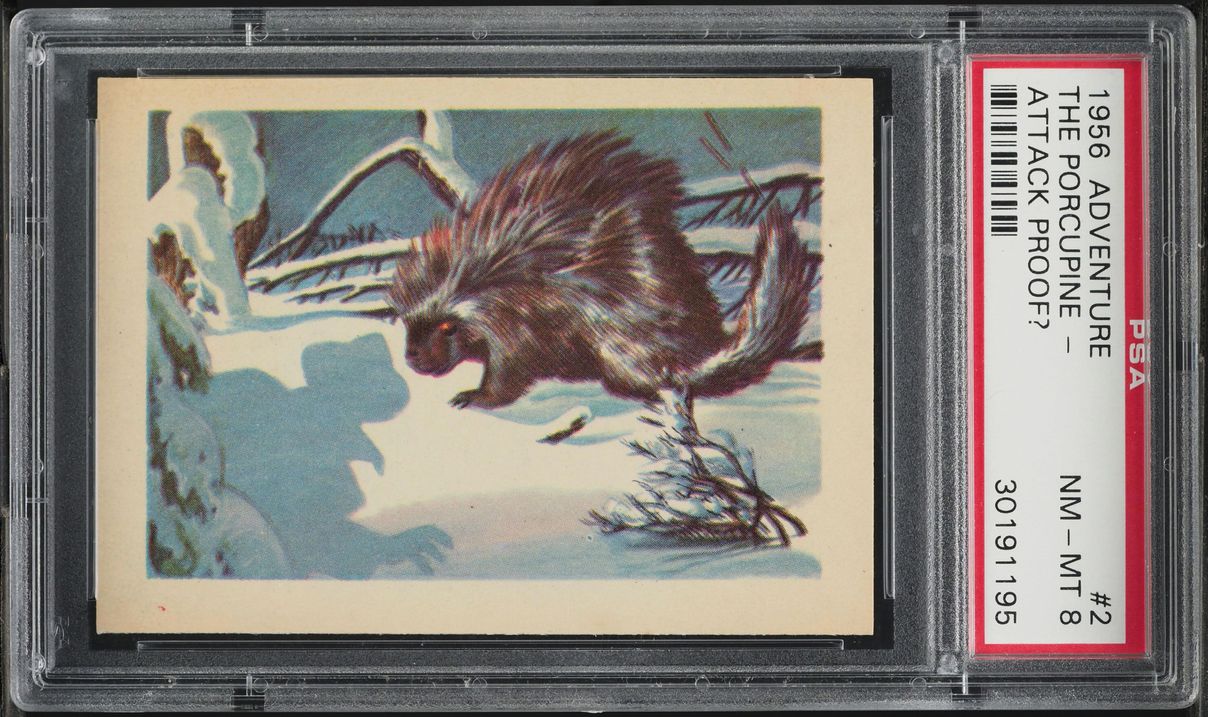 1956 Adventure The Porcupine Attack Proof? #2 PSA 8 NM-MT