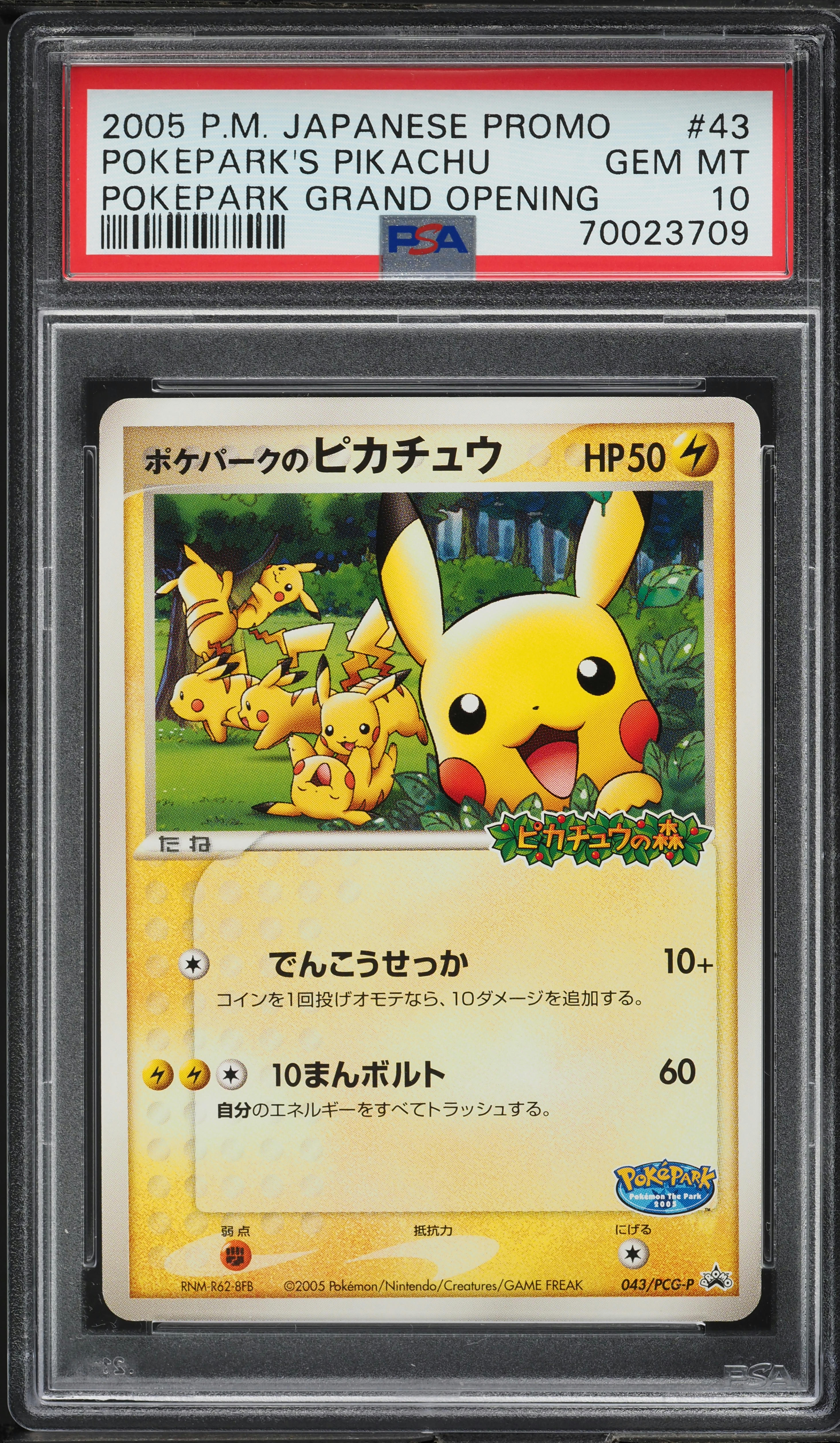 2005 Pokemon Japanese Promo Pokepark Grand Opening Pokepark's