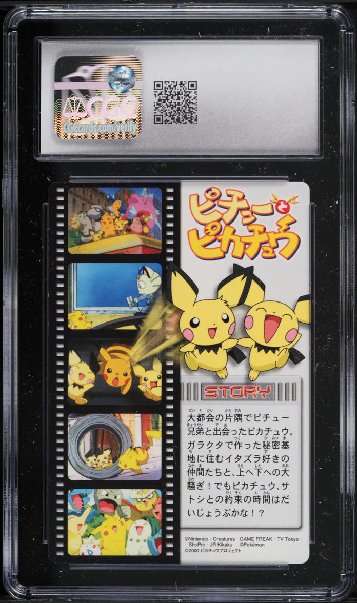 2005 Pokemon Japanese Zukan Advanced National Dex Prism Pikachu