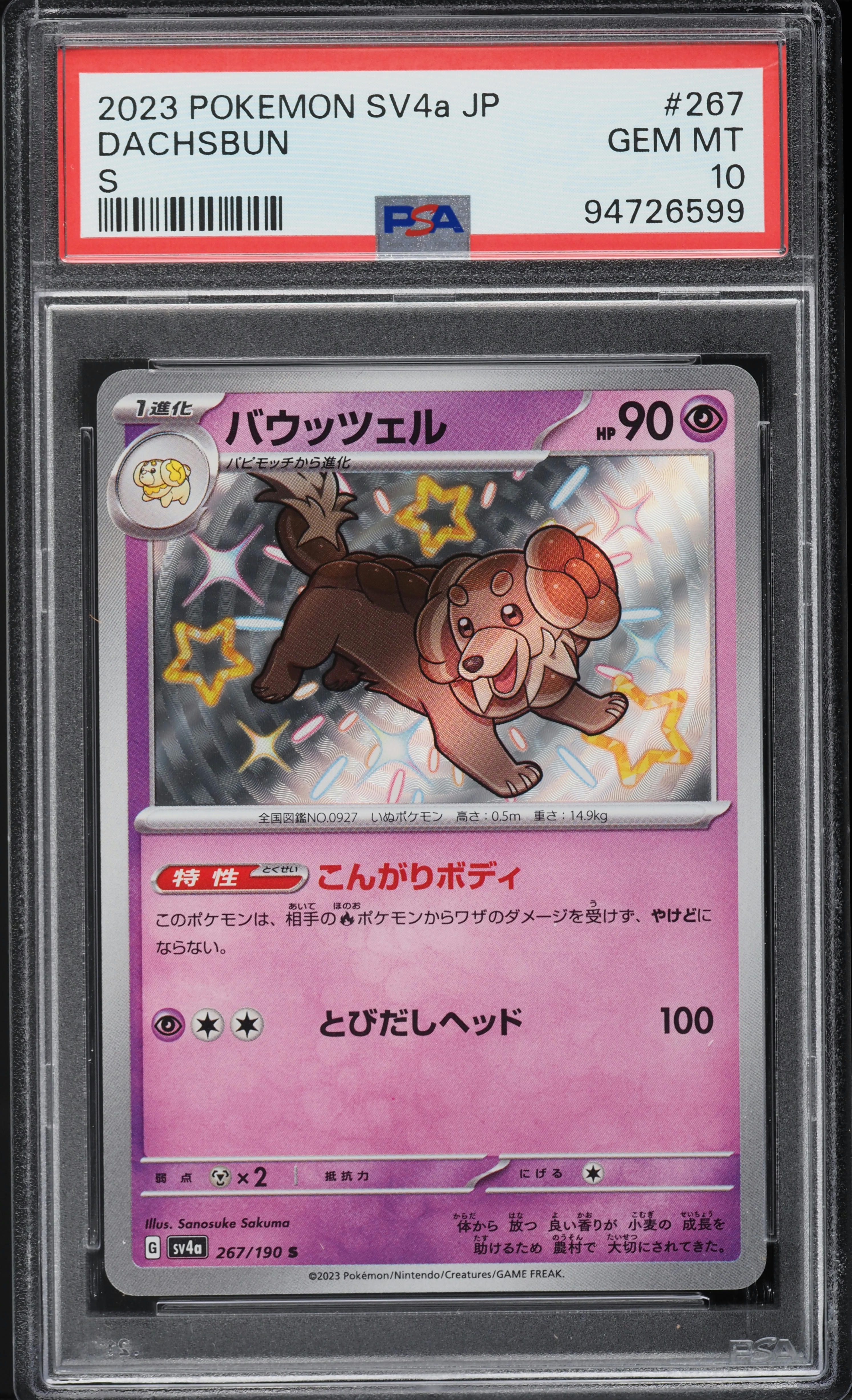 ぽぽ爺 2023 Pokemon Japanese SV Shiny Treasure EX S Dachsbun #267 PSA 10