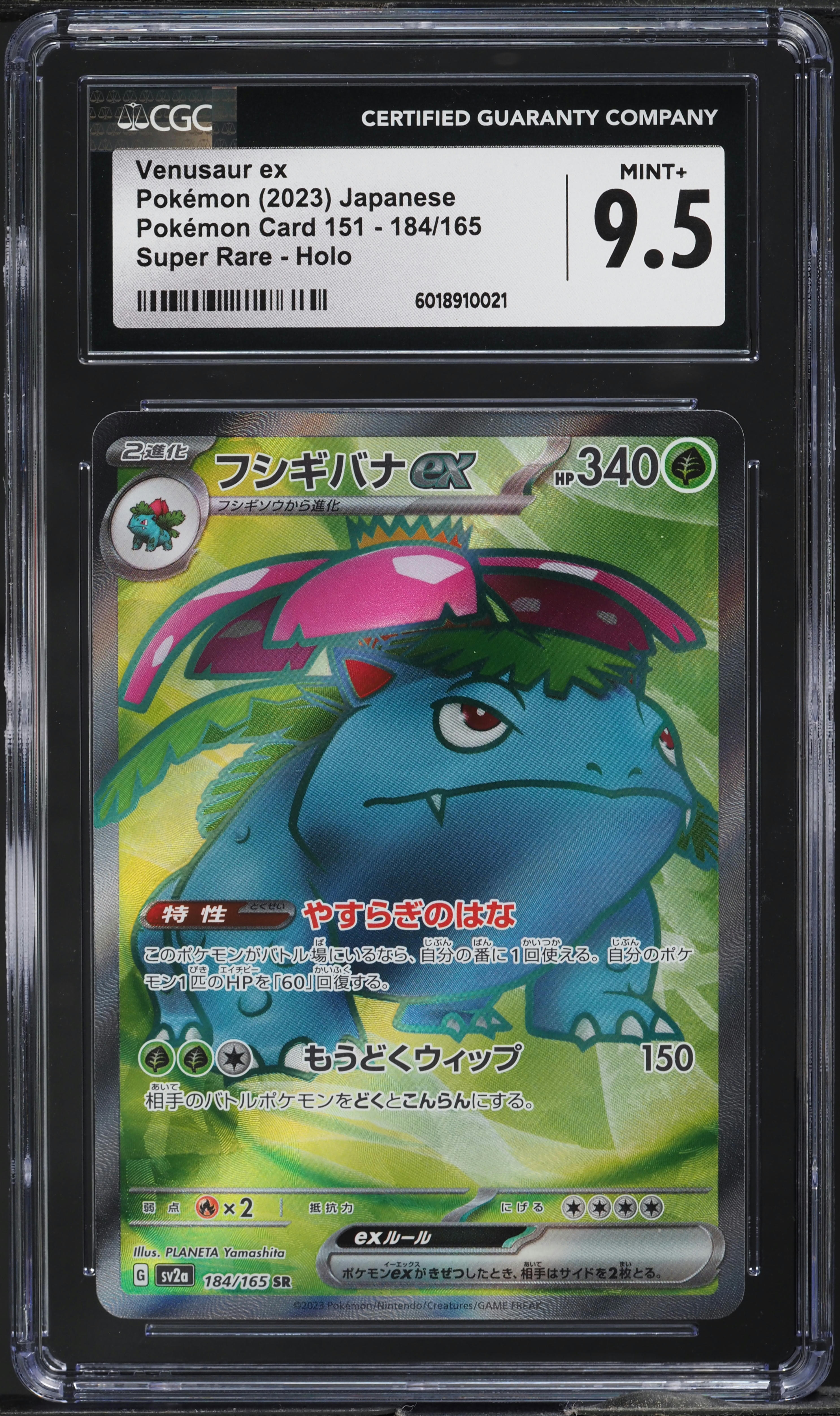 再値下げ半額以下！未使用VANGUARD AUCTUS Plus 323CT 2023 Pokemon Japanese SV 151 Full Art Venusaur ex #184 CGC 9.5