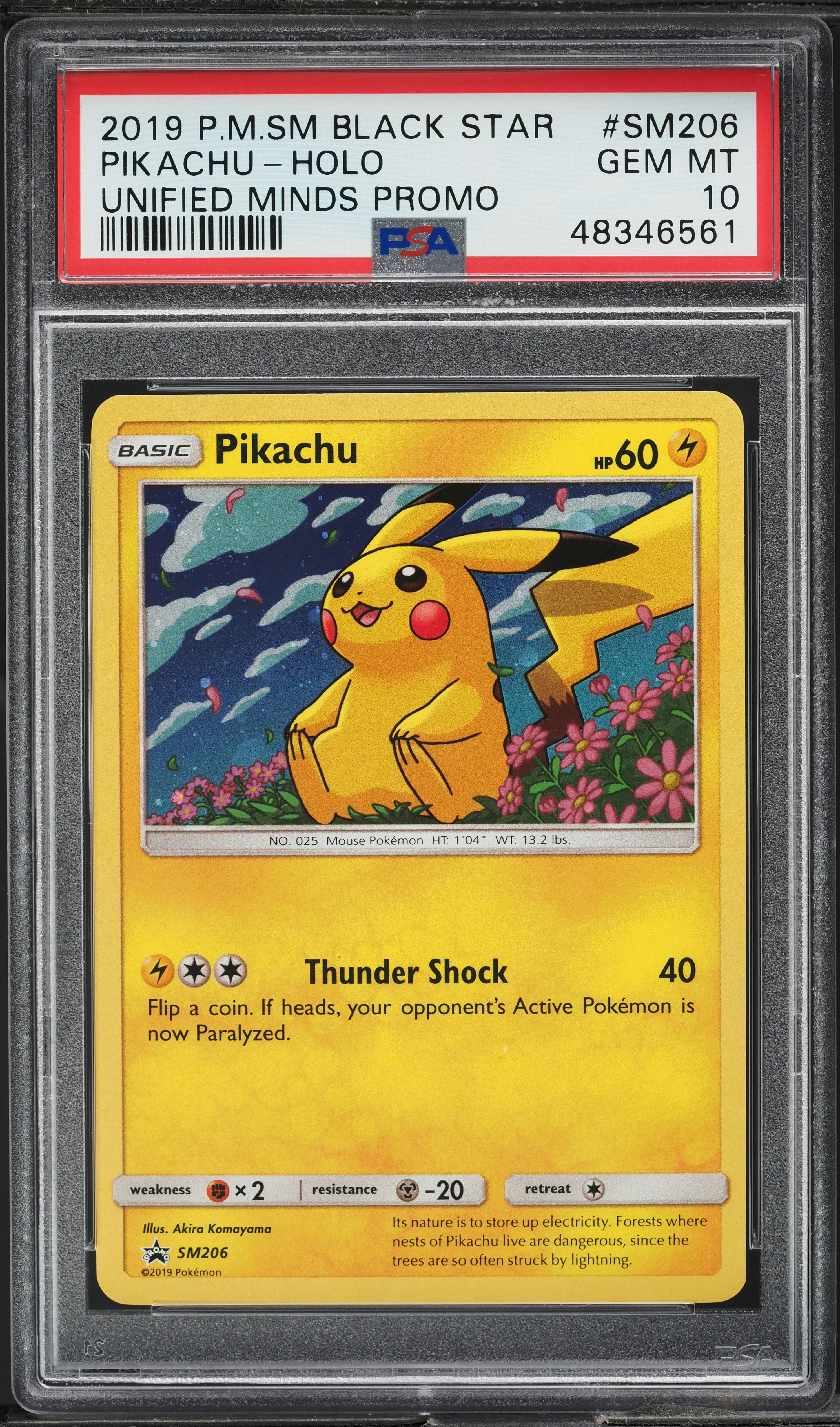2019 Pokemon SM Black Star Promo Unified Minds Holo Pikachu #SM206 PSA 10  GEM