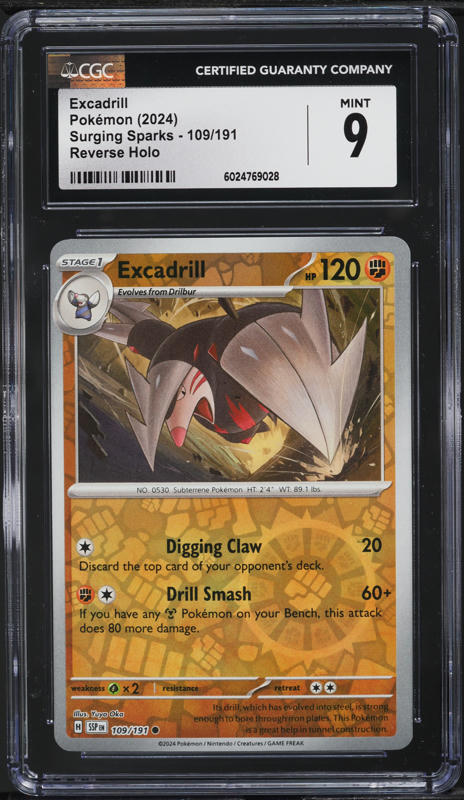 best pokemon booster boxes to buy Pokmon Ancient Roar Korean Booster Box