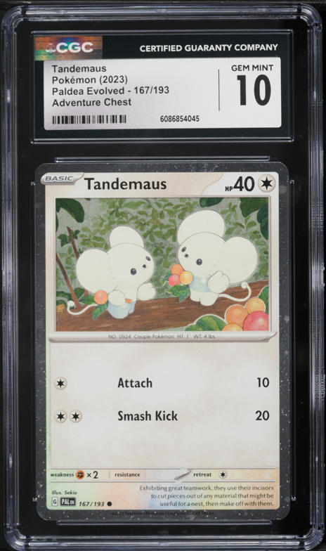 2025 Pokemon Japanese Playing Cards Taruka Effect Tandemaus CGC 10 PRISTINE  on Fanatics Collect