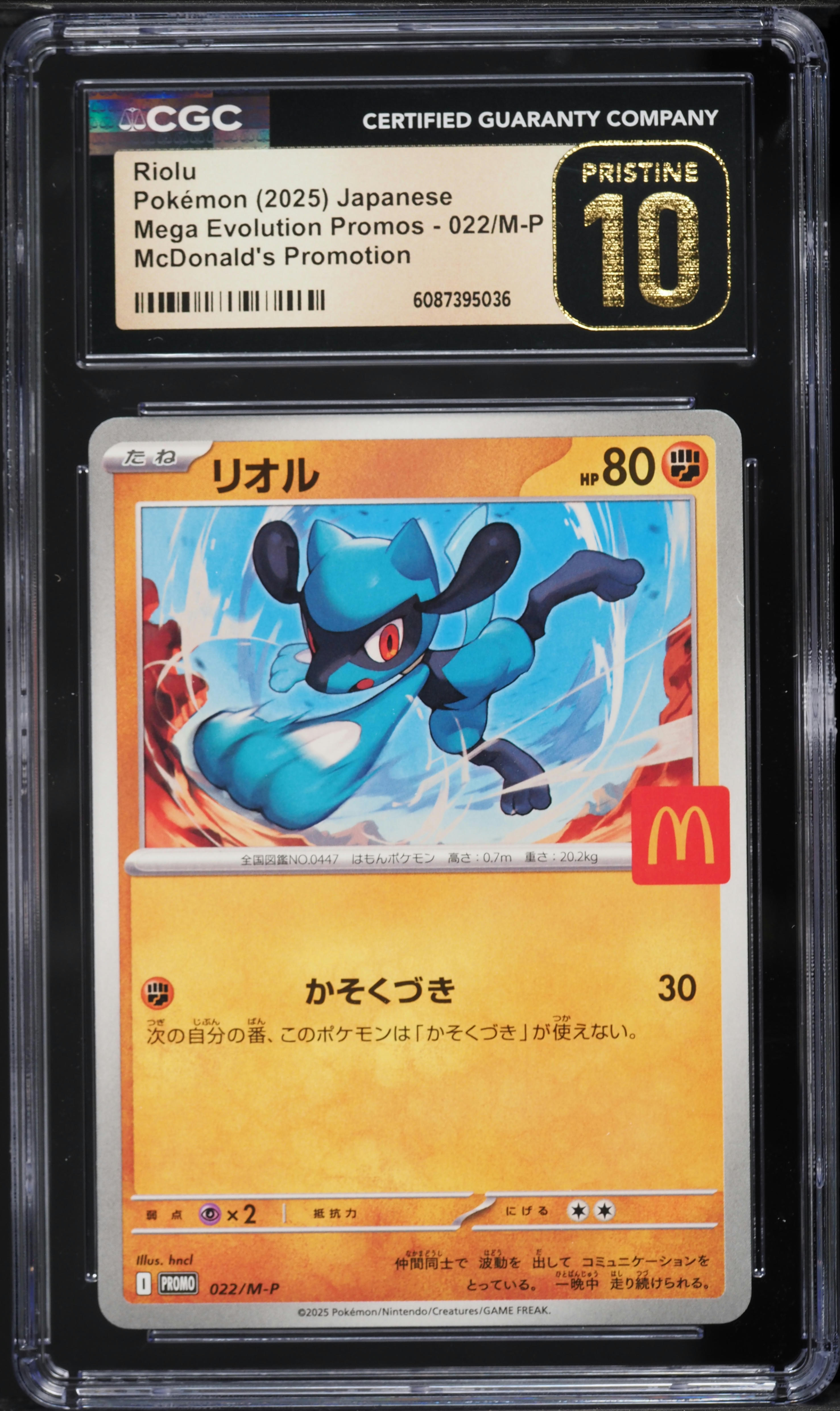 mega rayquaza ex pokemon card Amazon.com: Pokemon TCG: Shiny Rayquaza-EX Box Card Game : Toys & Games